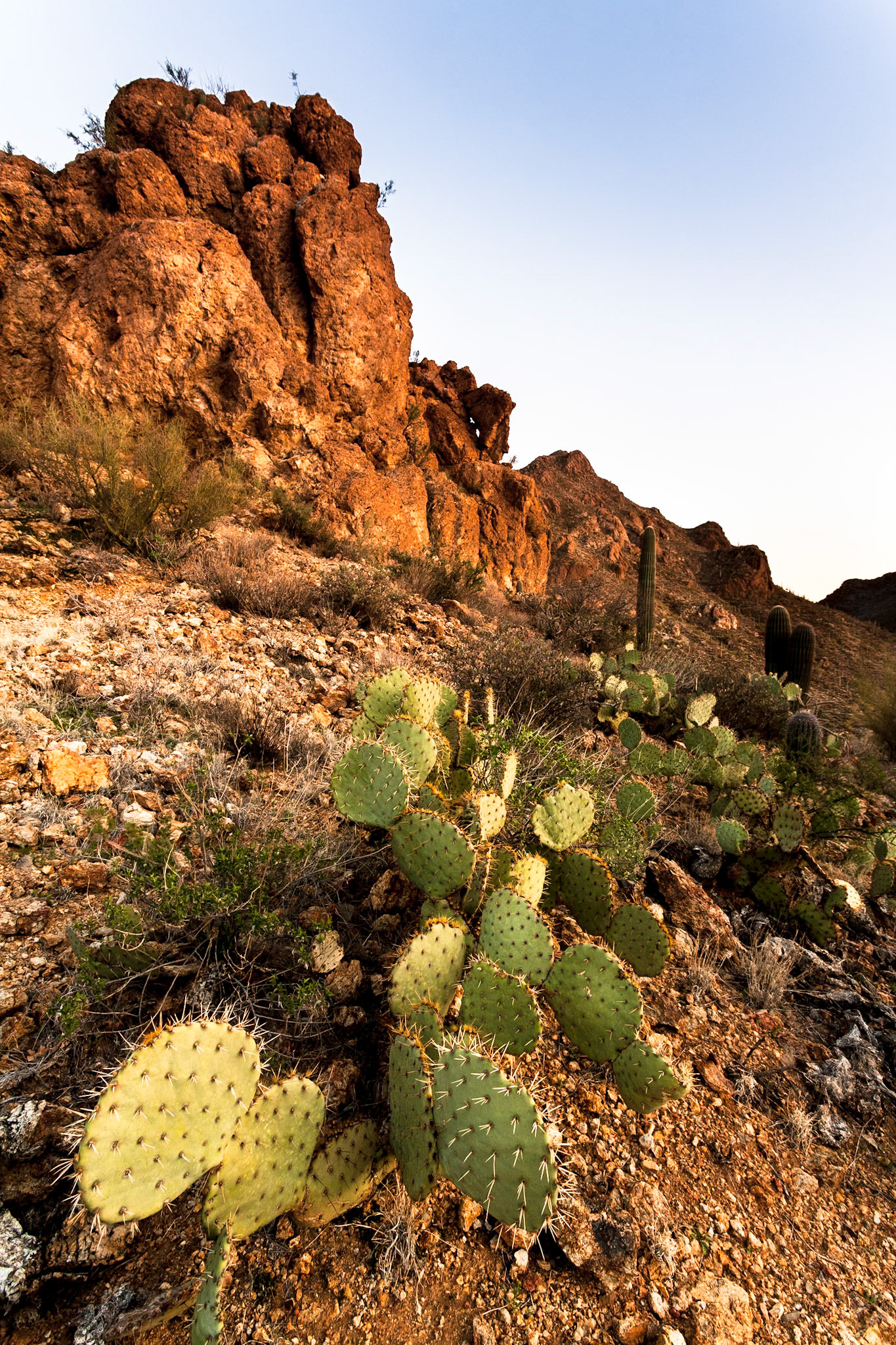 Tucson Mountain Park at the Gate Pass at sunset, Arizona, USA