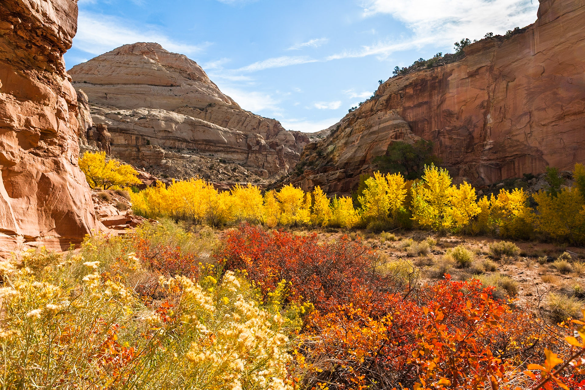 Autumn at Hickman Natural bridge Trail, Capitol Reef Nat'l Park, Utah, USA