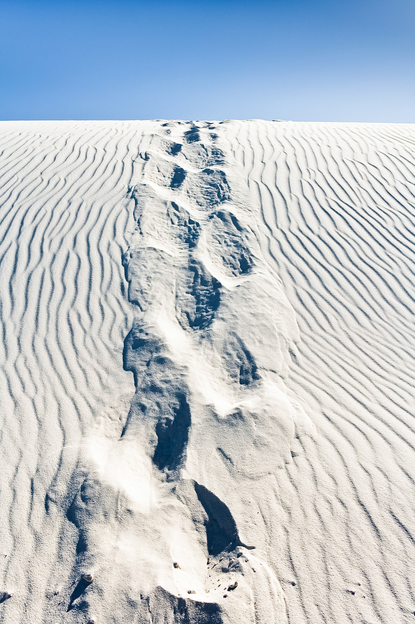 Footsteps in the sand at White Sand Dunes National Monument, New Mexico, USA