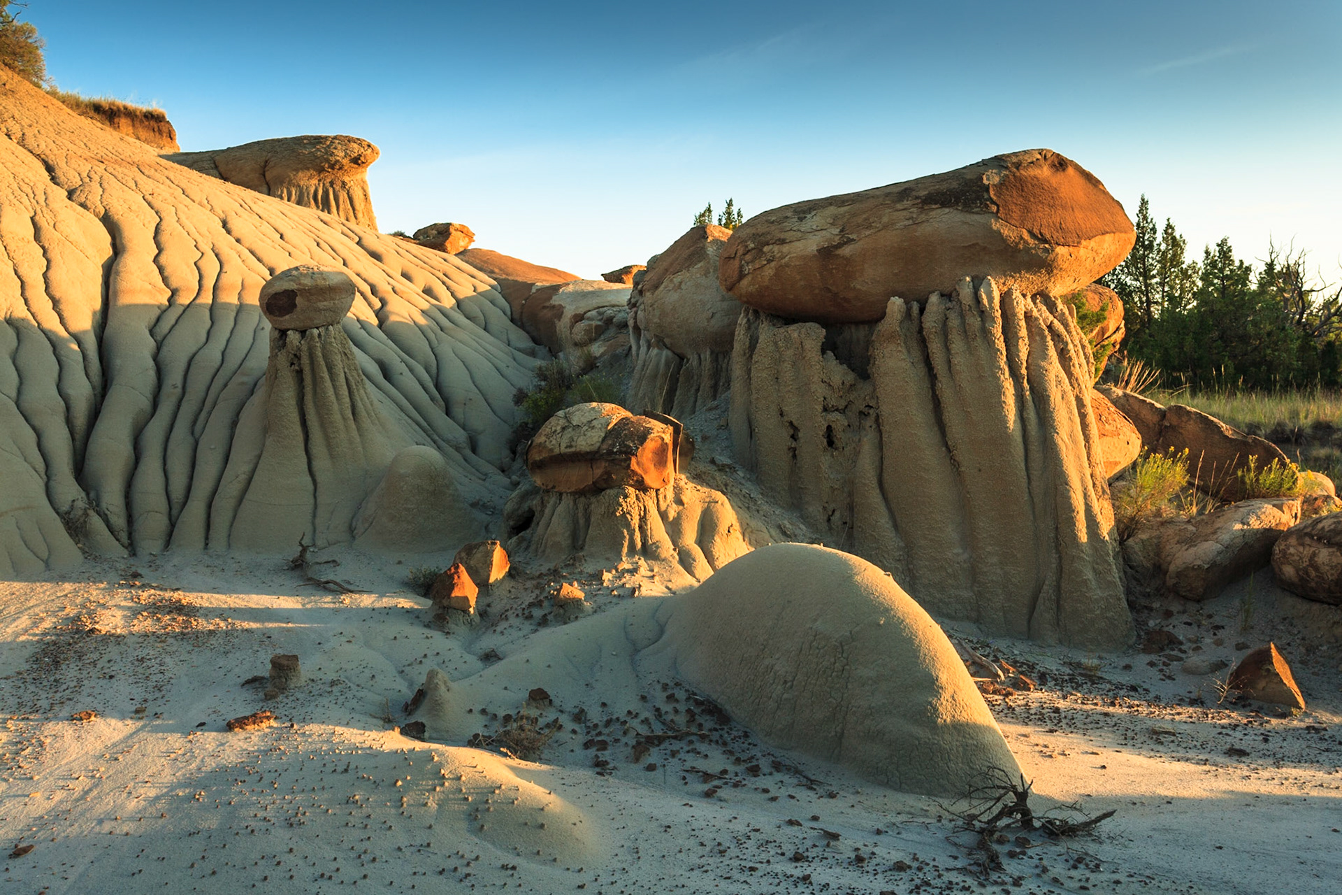 Beautiful erosions at Makoshika State Park, Montana, North America at sunset, USA