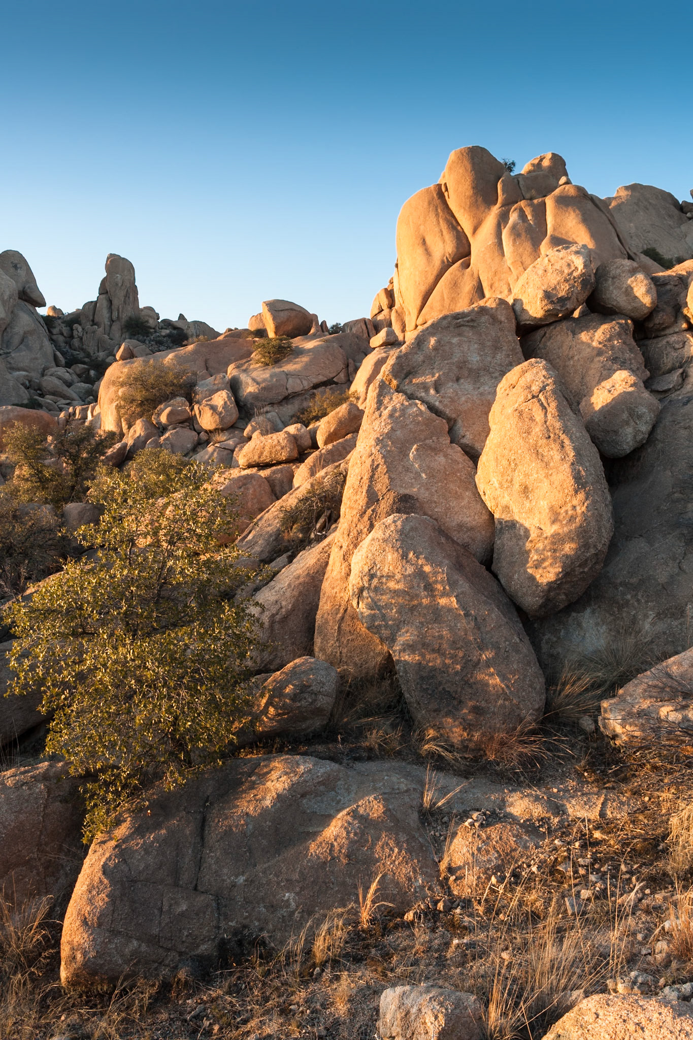 Texas Canyon, near Benson, at sunset, Arizona, USA