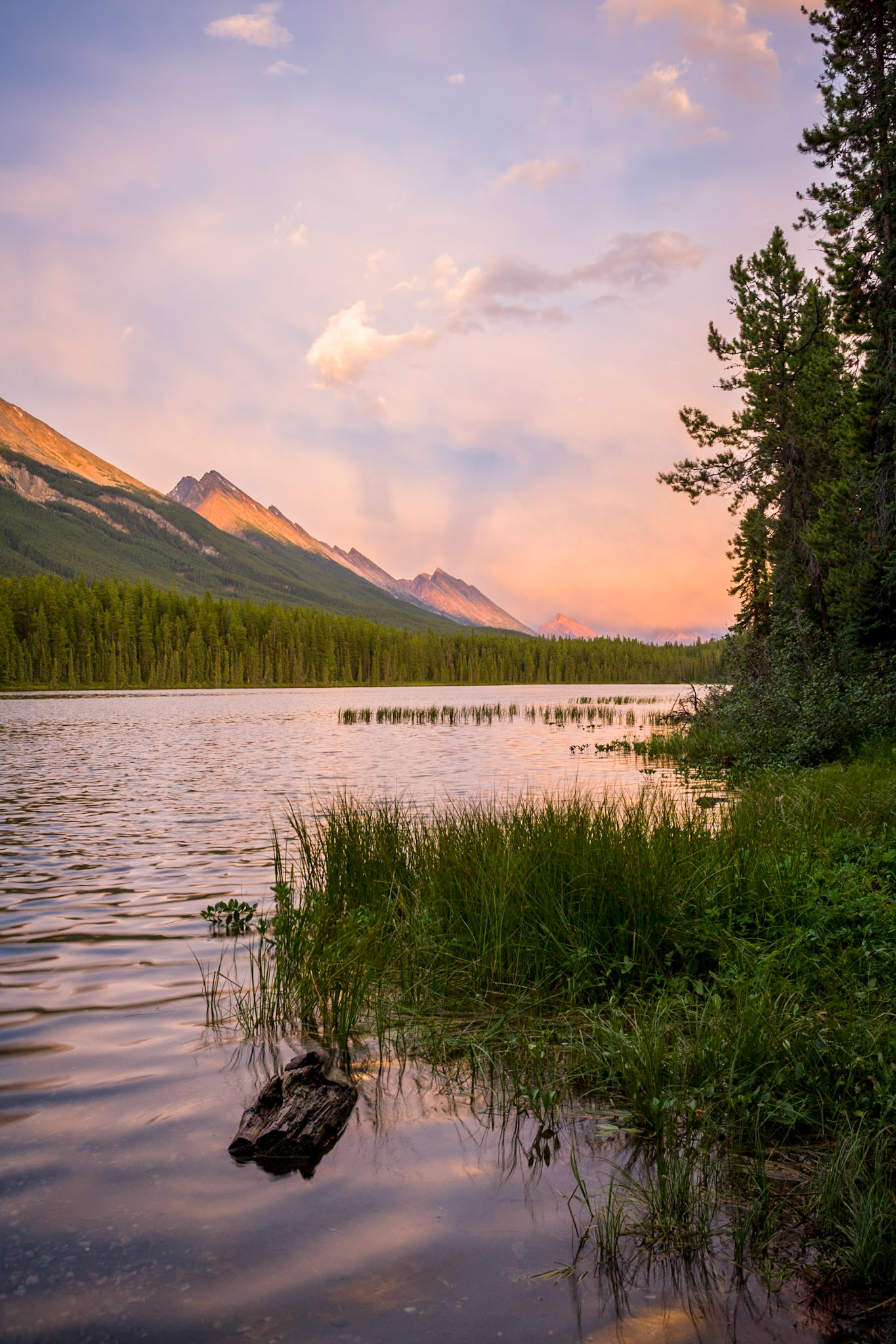 Honeymoon Lake, Jasper National Park, Alberta, CA