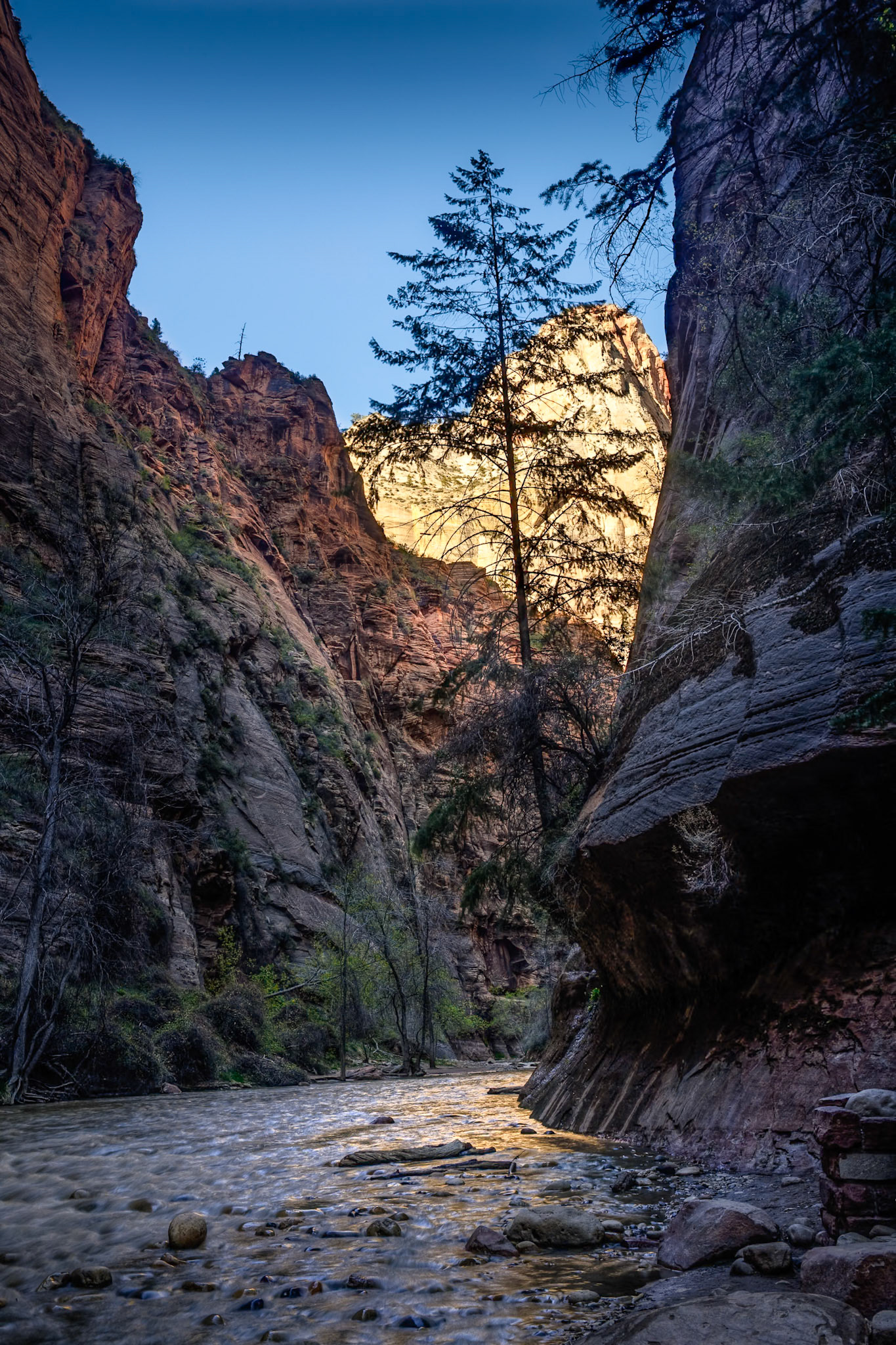 Zion National Park, North Fork Virgin River, UT, USA