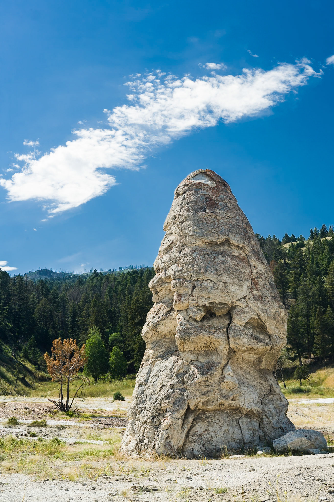Liberty Cap at Mammoth Hot Springs  in Yellowstone National Park Wyoming, USA