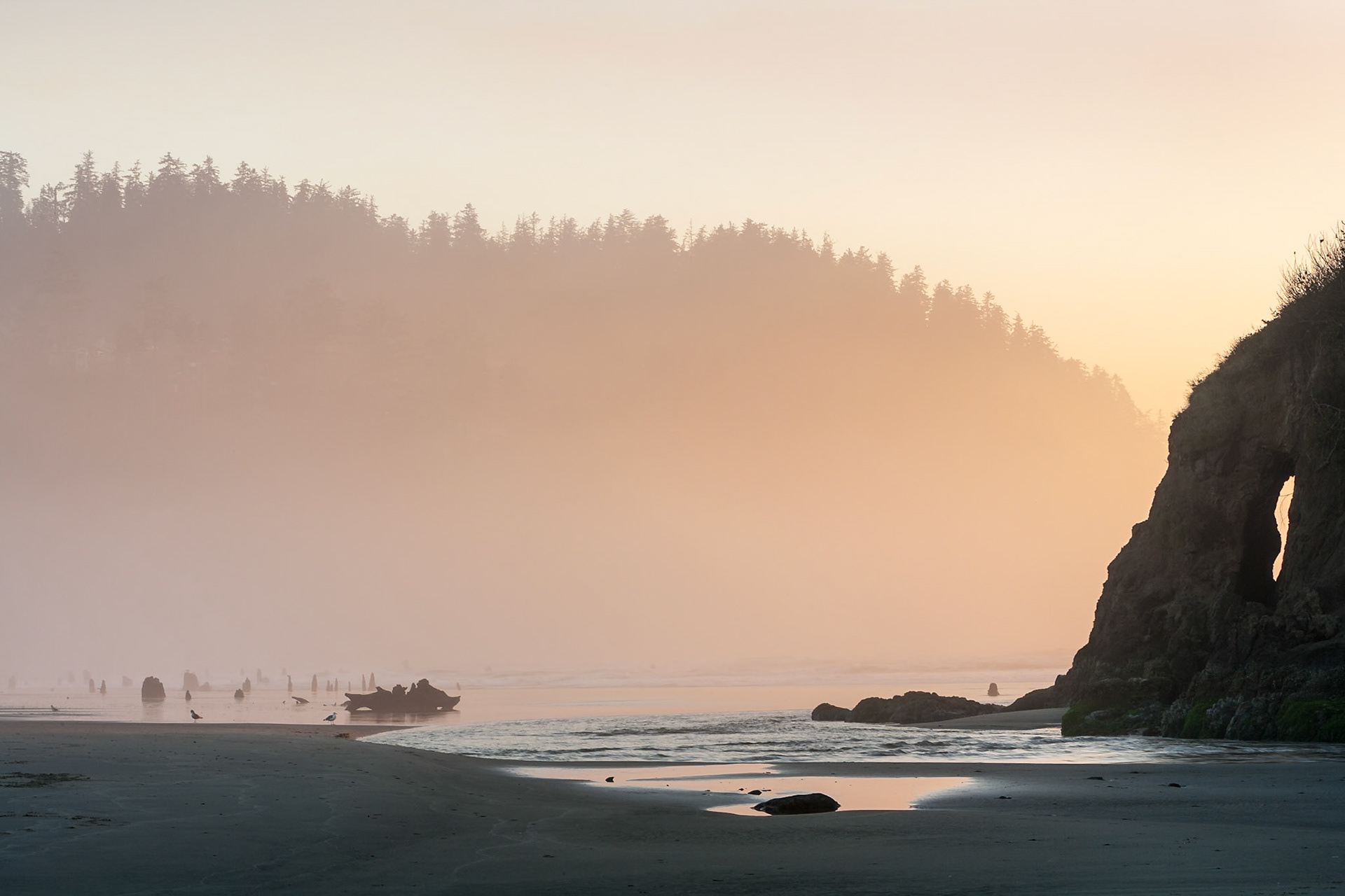 Sea fog and sunset at South Beach at Proposal Rock near Neskowin, OR, USA