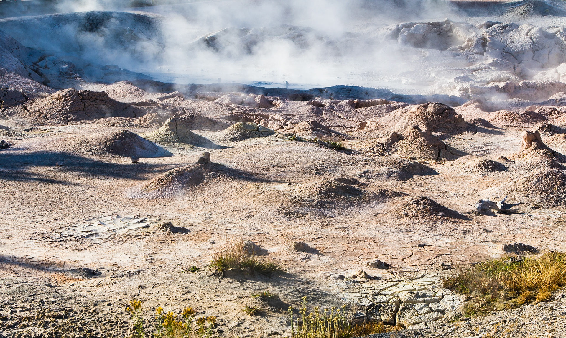 Yellowstone Nat'l Park, Lower Geyser Basin, Fountain Paintpots, WY, USA