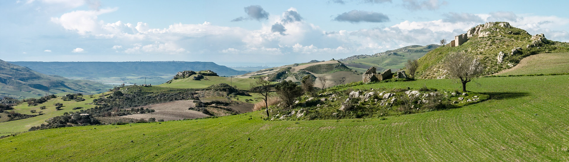 Panorama at the S124 near to Caltagirone
