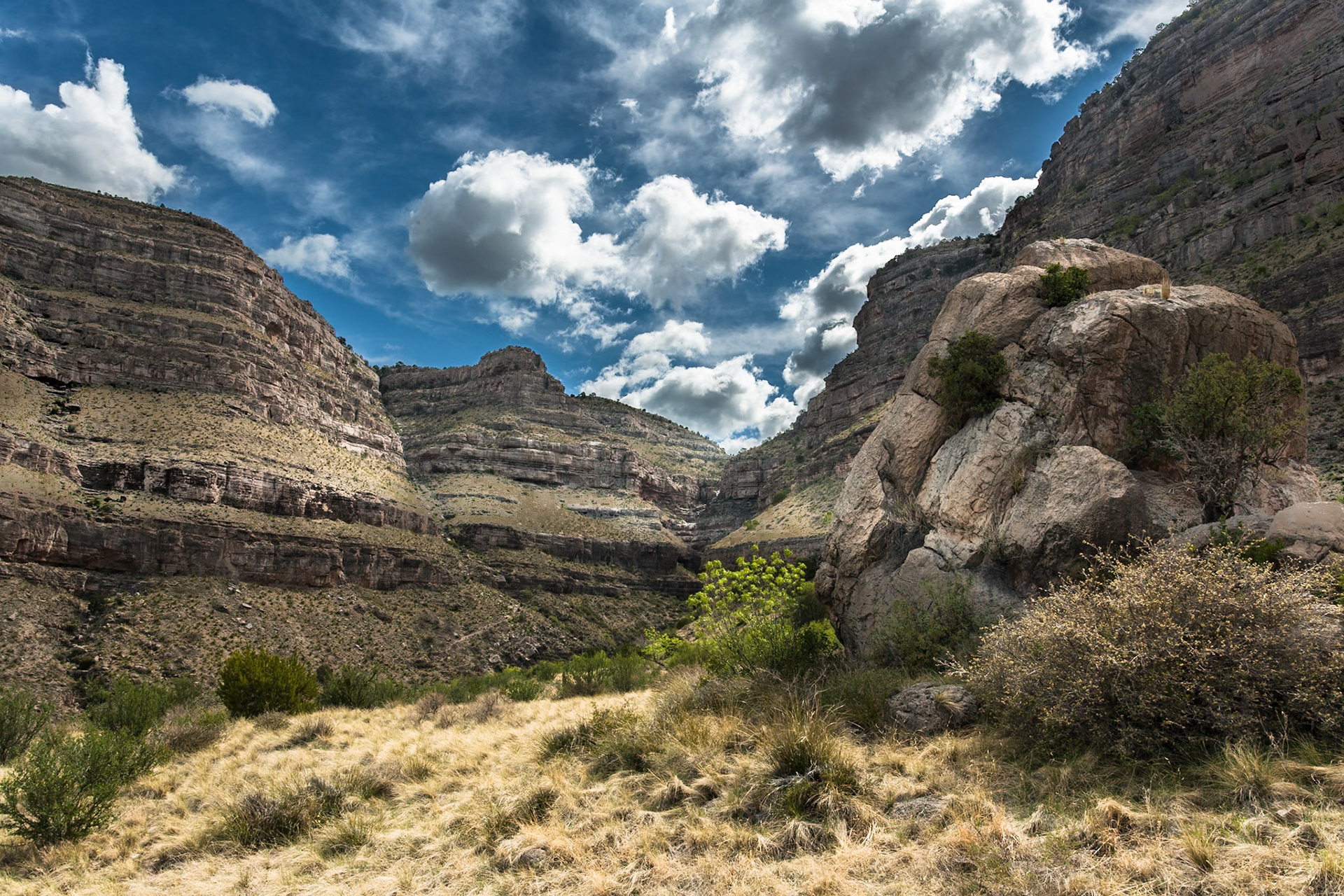 Dog Canyon at Oliver Lee Memorial State Park, New Mexico, USA