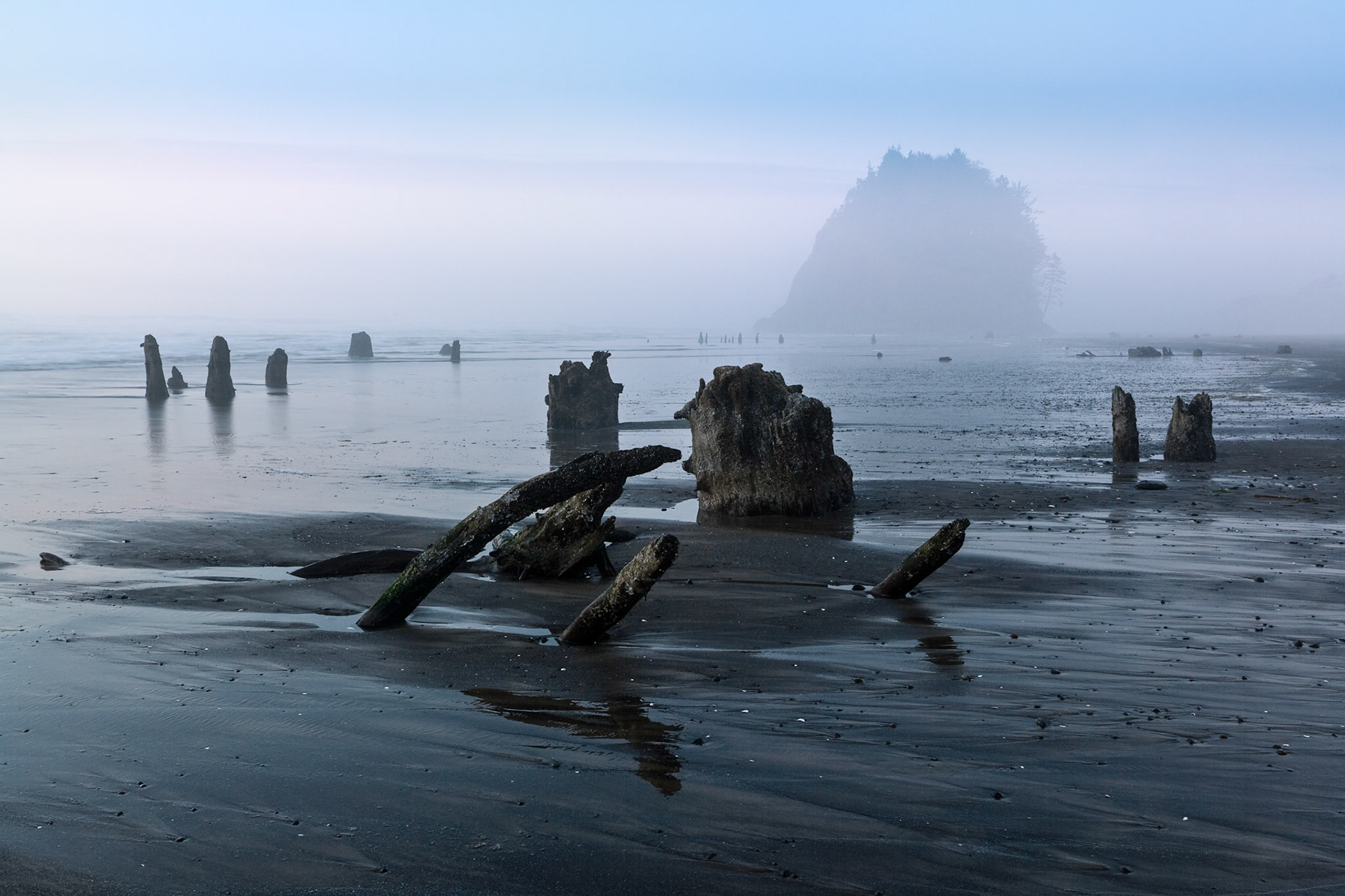 Petrified trees at South Beach with Proposal Rock after sunset at Neskowin, OR