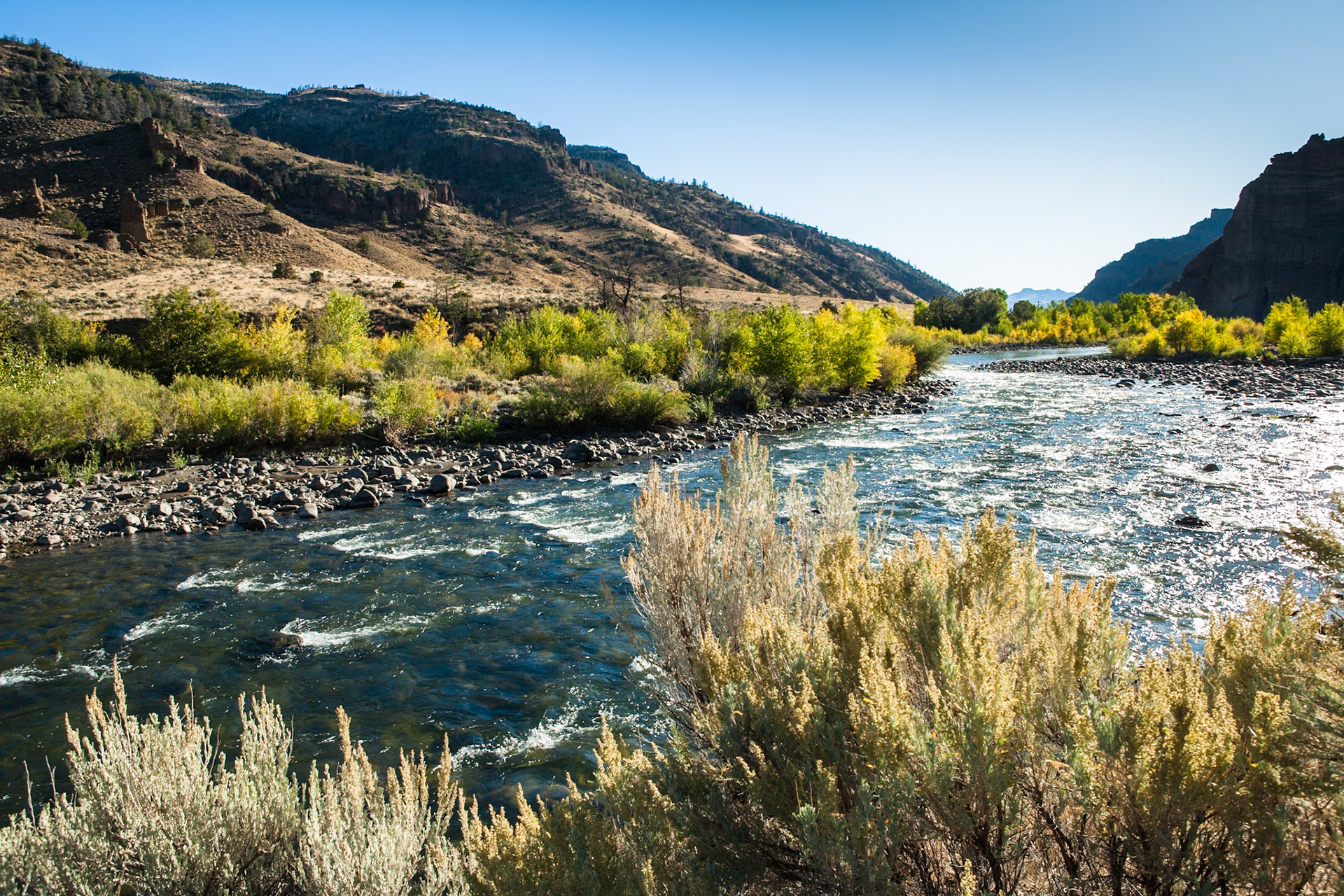 Shoshone River at Wapiti Valley, Wyoming, USA