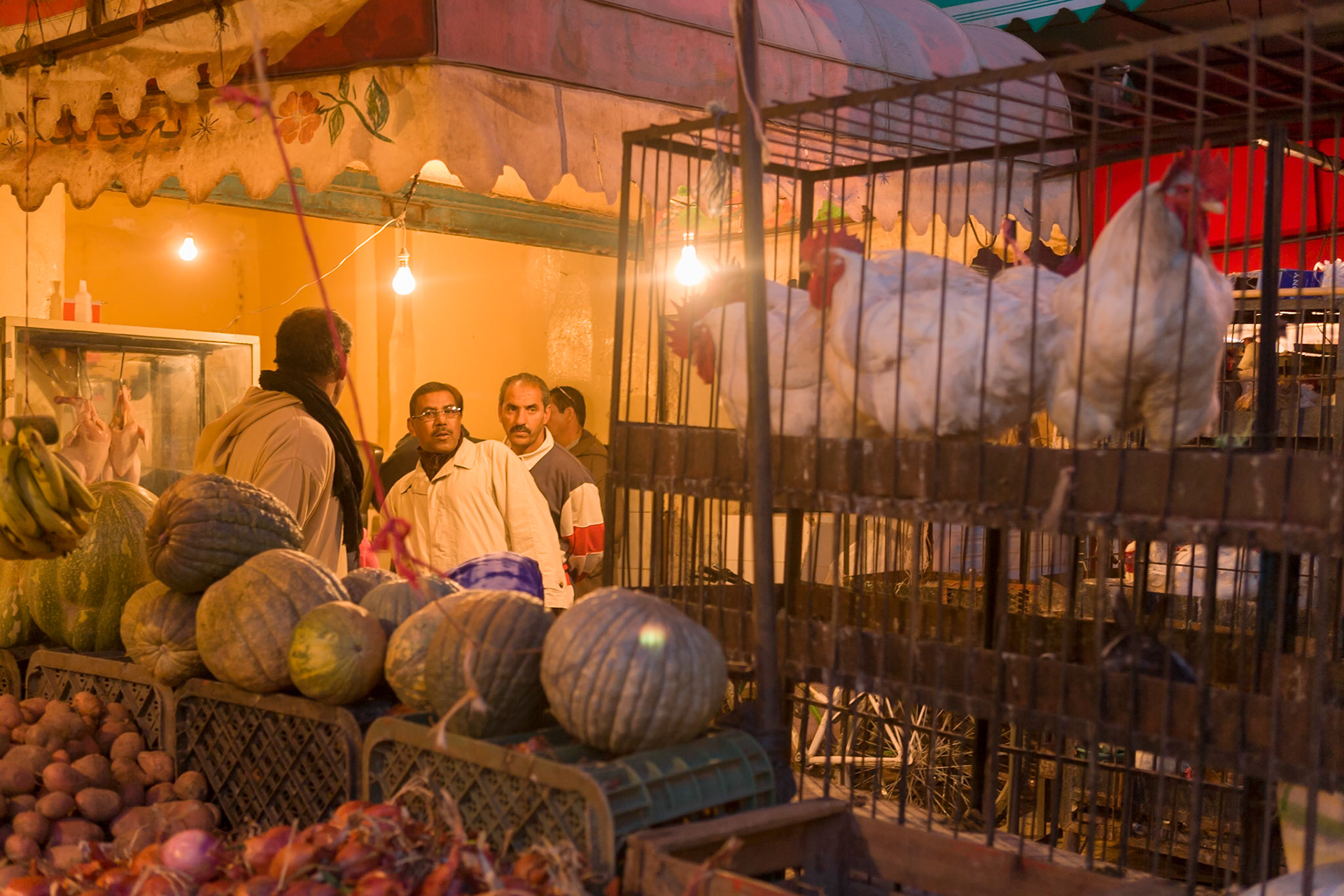 Poultry shop at evening at Guelmim