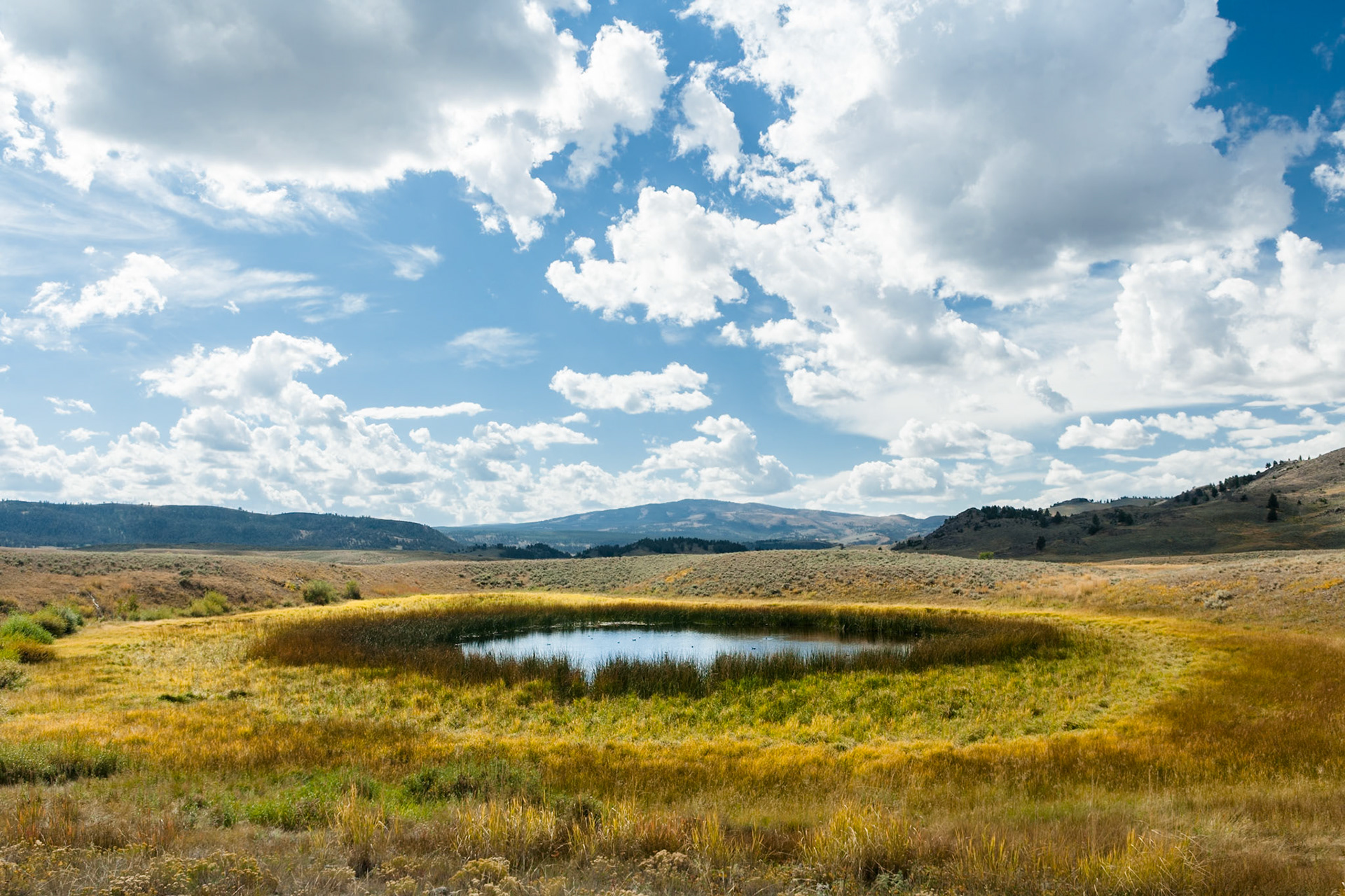 Lake near Slough Creek in Yellowstone National Park, Wyoming, USA