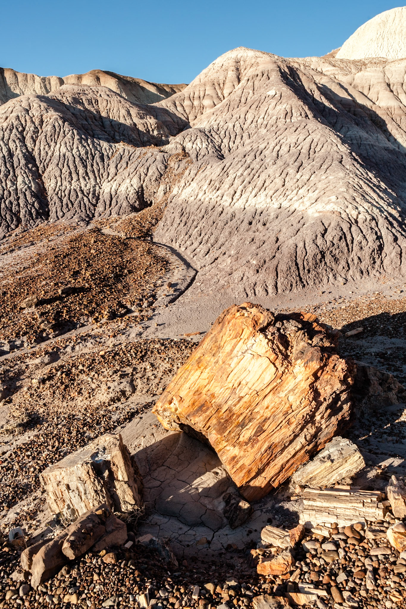 Sunset at Petrified Forest National Park, Blue Mesa, AZ, USA