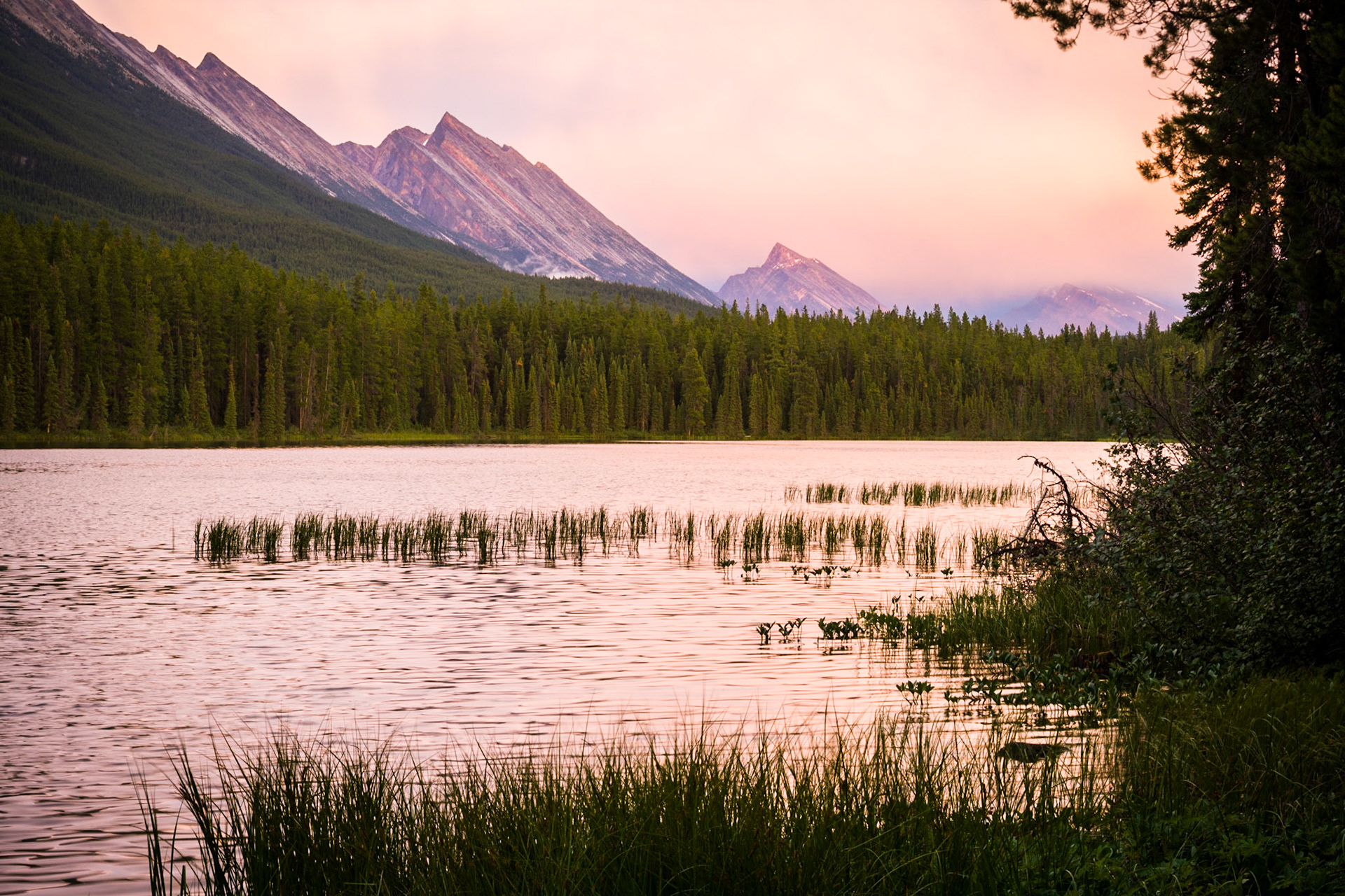 Honeymoon Lake, Jasper National Park, Alberta, CA