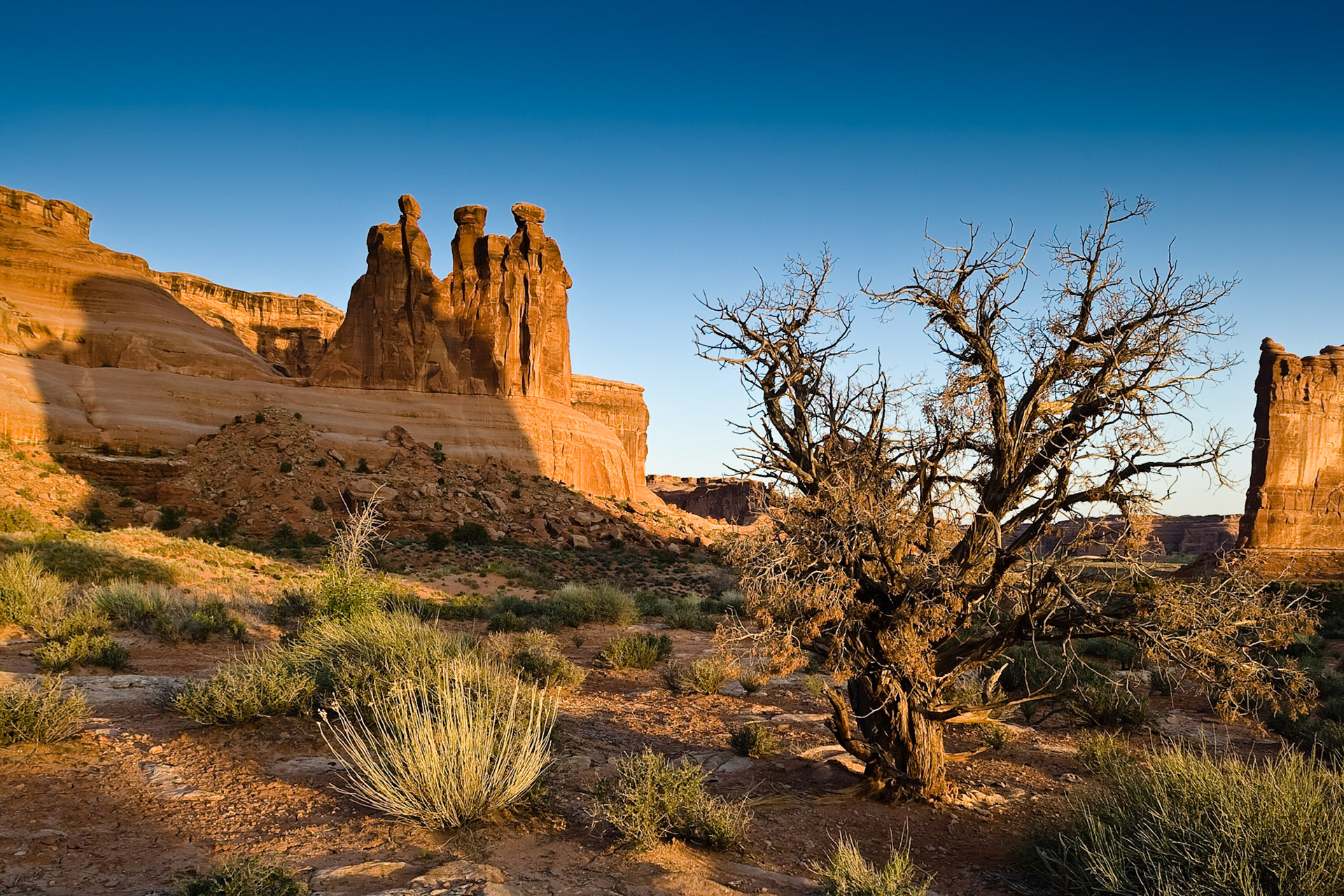 Three Gossips at sunrise, Arches NP, Utah, USA