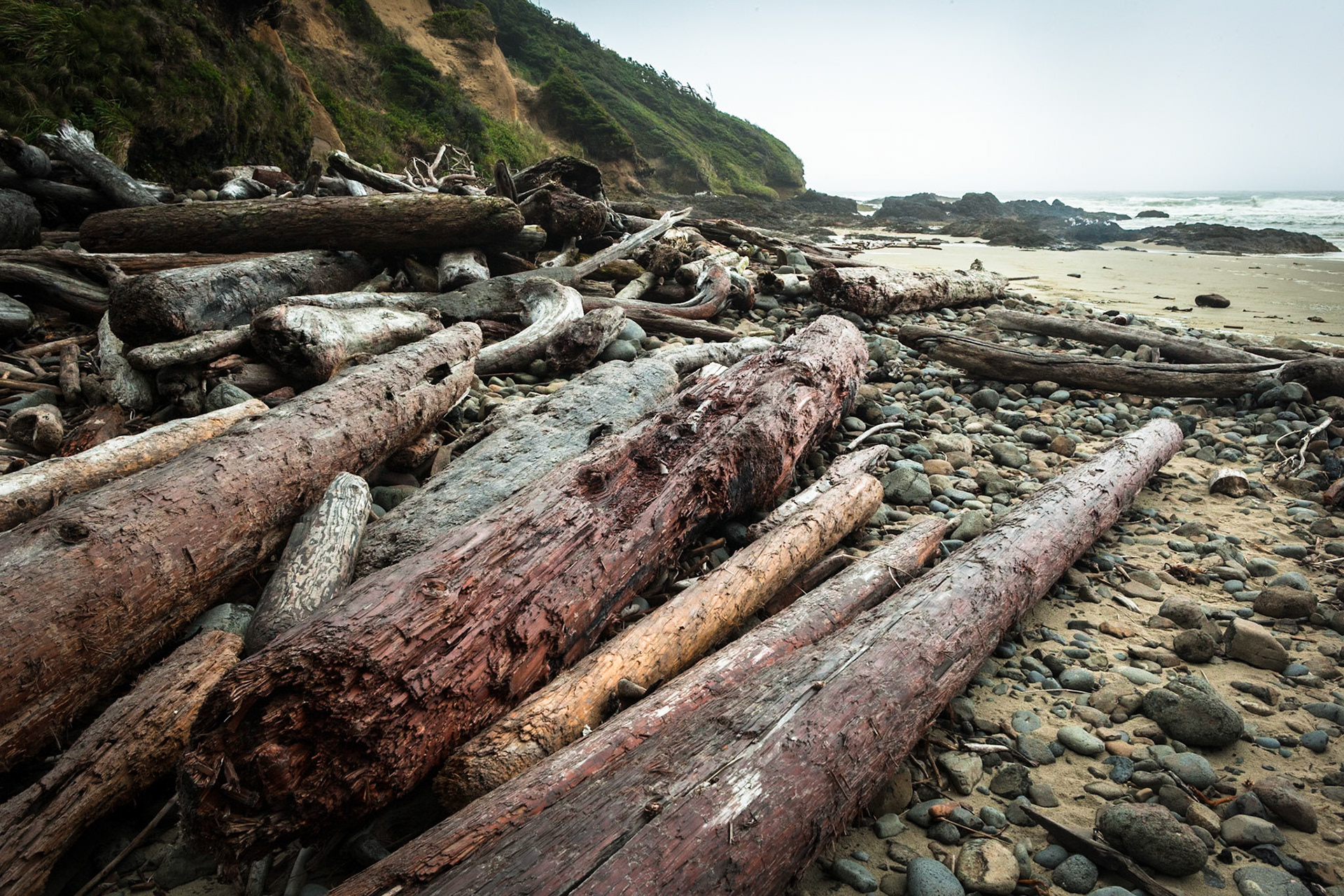 Driftwood on a foggy day at Devil's Churn at the coast of Oregon, Hwy 101, USA