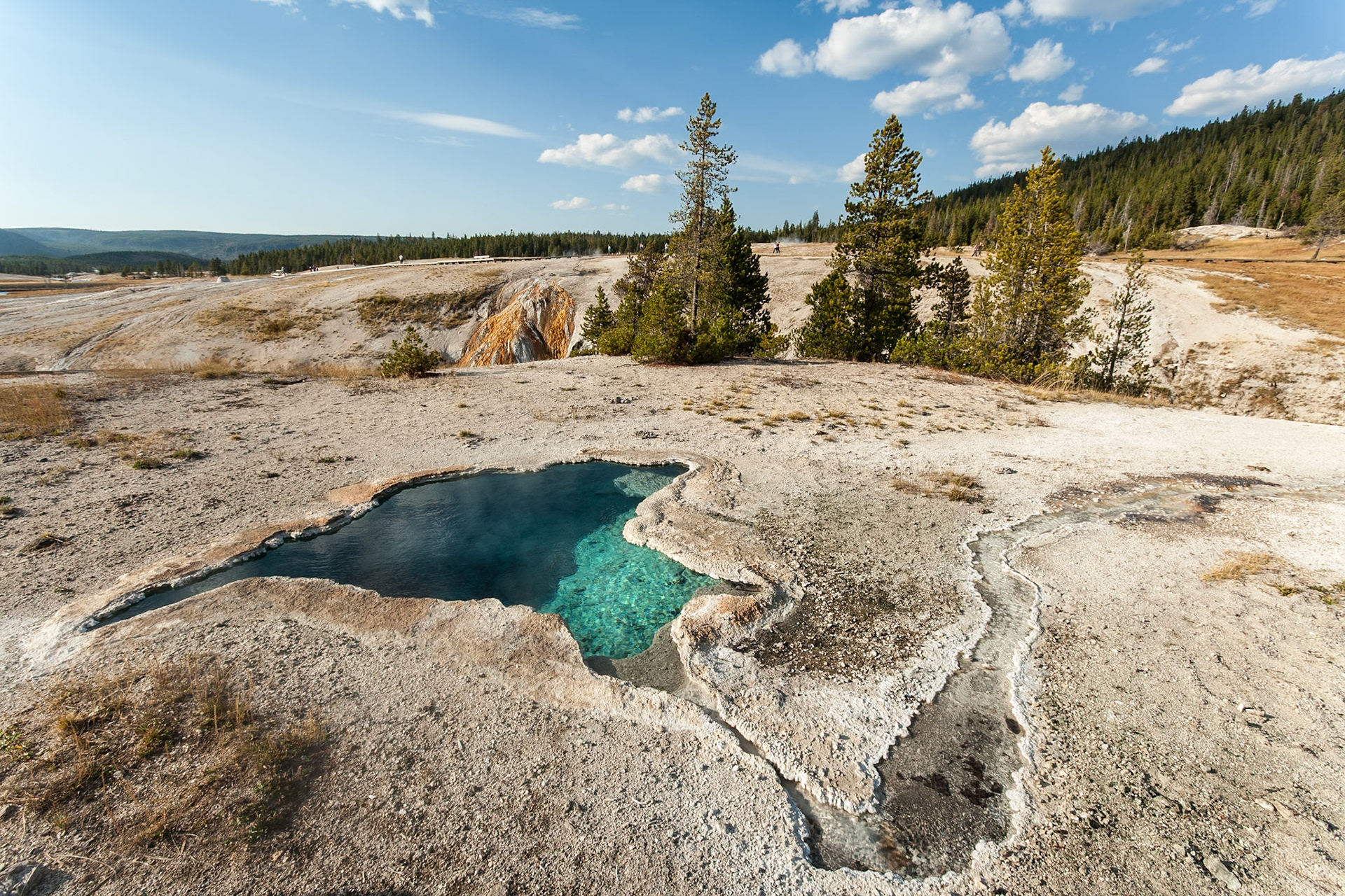Blue Star Spring in the Upper Geyser Basin in Yellowstone Nat'l Park, WY, USA