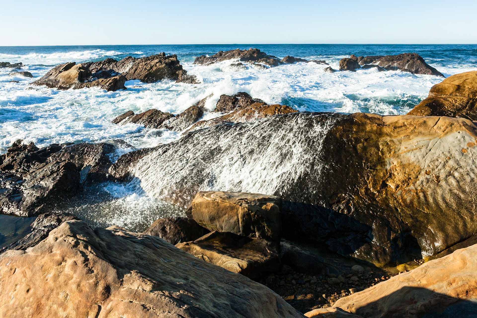 Point Lobos State Reserve near Carmel, California, USA