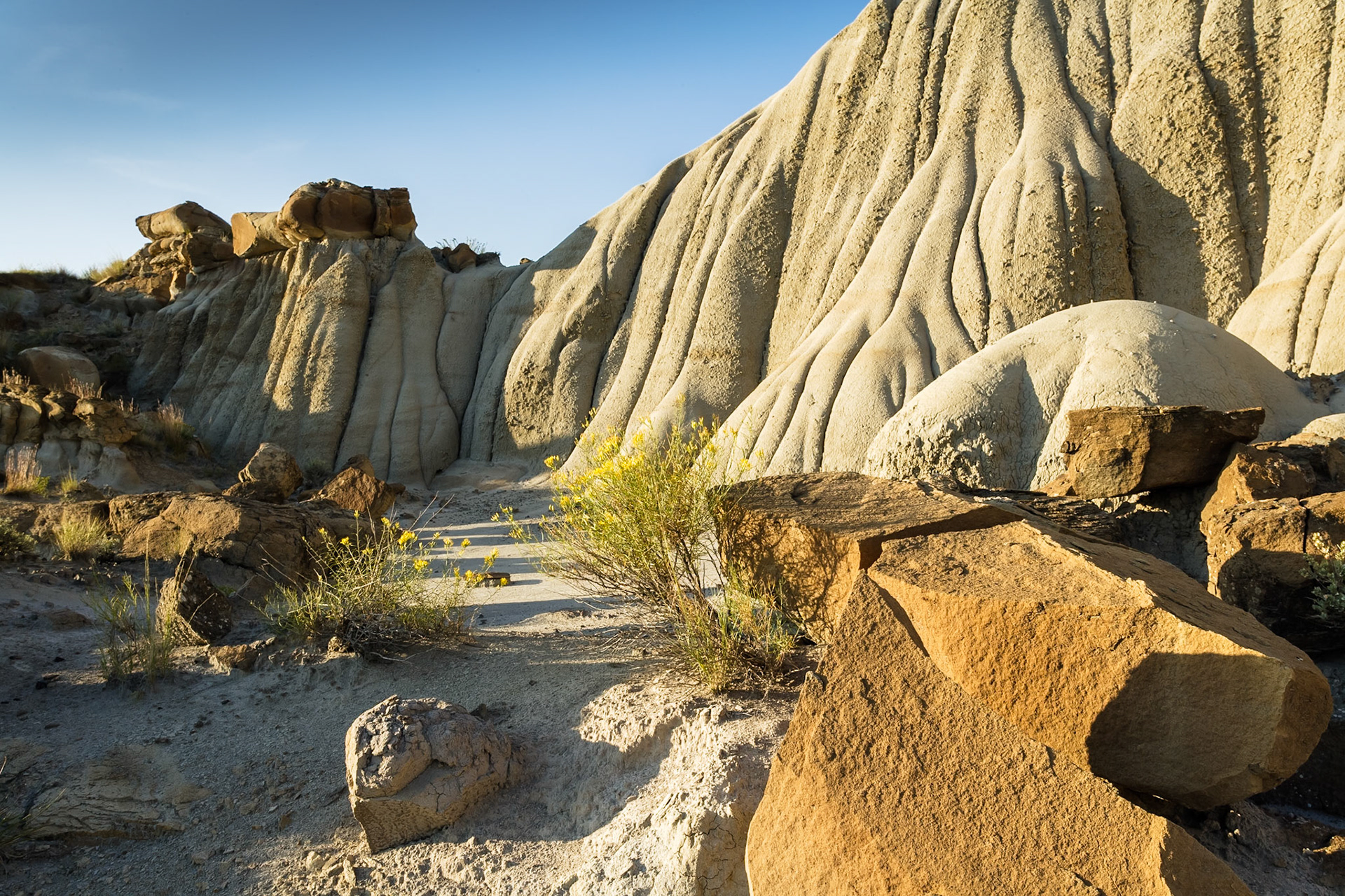 Erosion at Makoshika State Park, Montana, USA