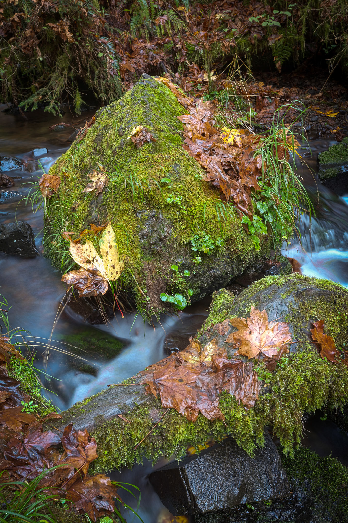 River at Munson Creek Falls, OR, USA, AESTHETIC OR COMMERCIAL APPEAL OF IMAGE
