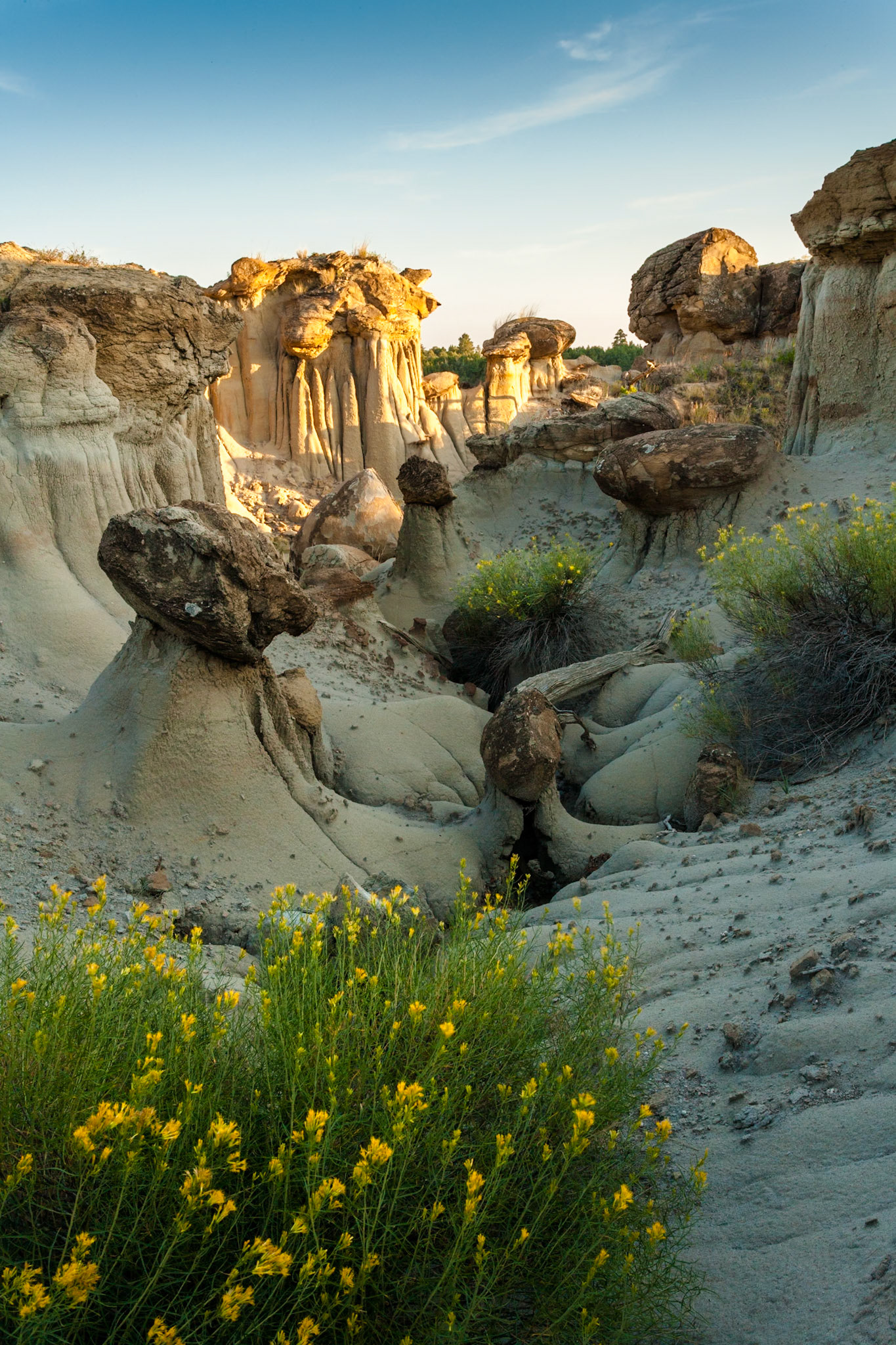 Hoodoos at Makoshika State Park at sunset, Montana, North America, USA