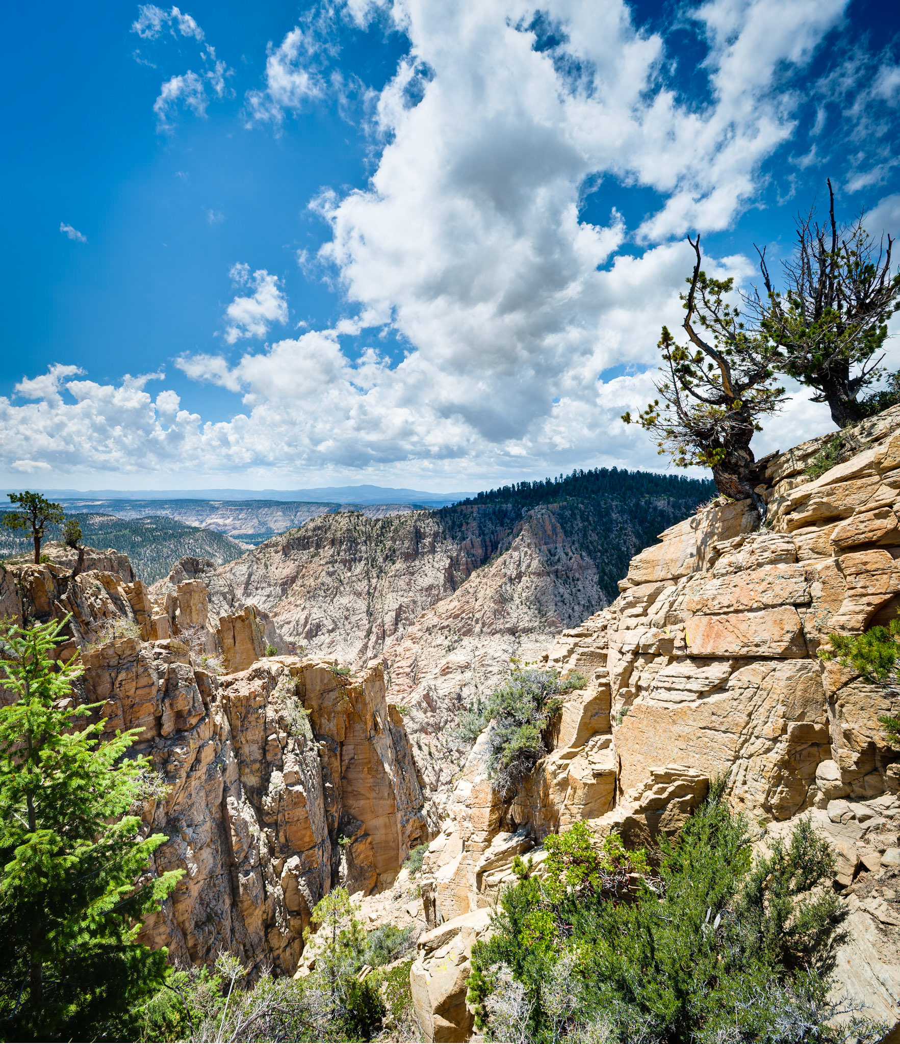 Devils Backbone at Dixie Nat'l Forest, Escalante, UT, USA