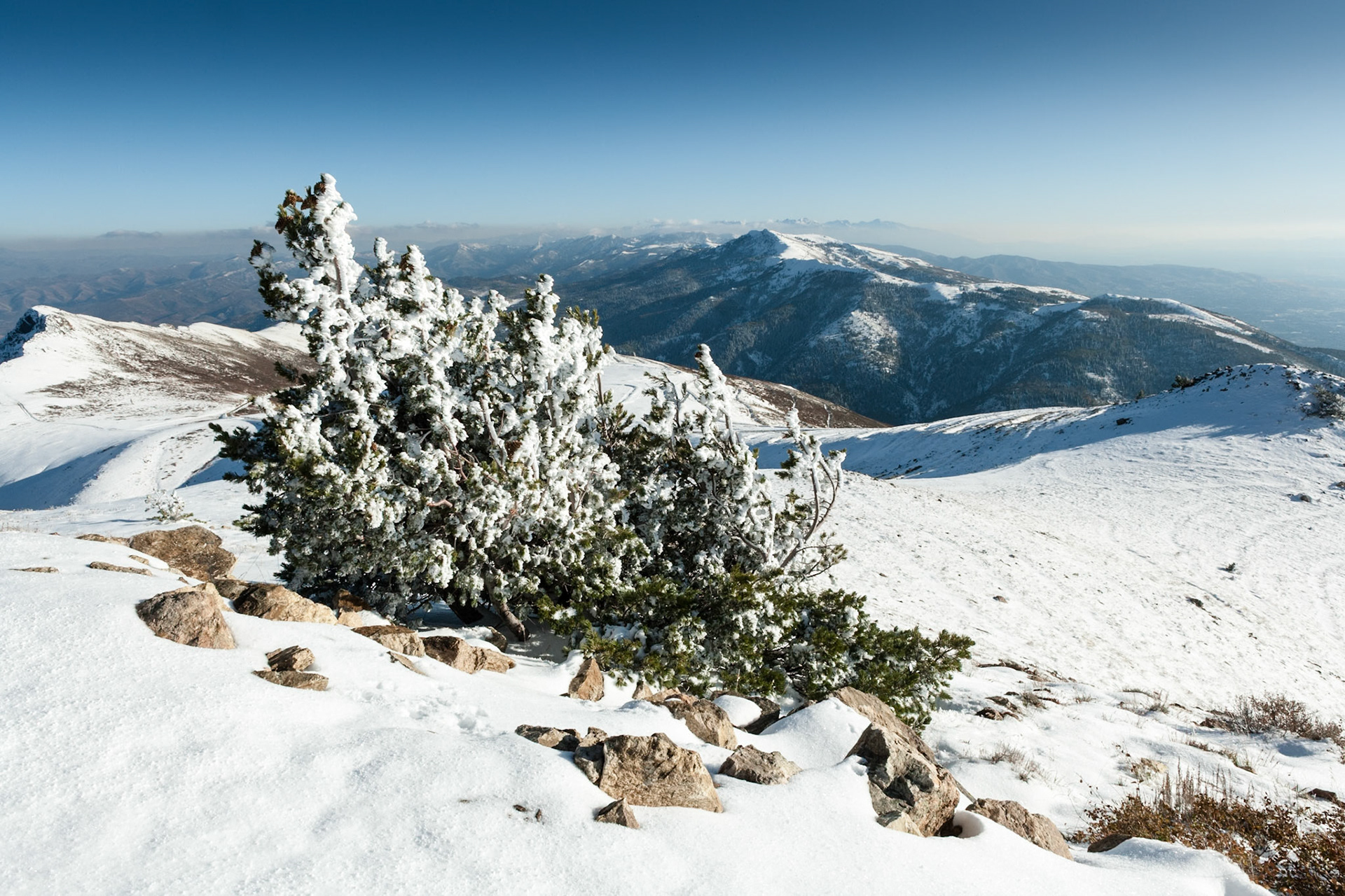 Wind formed Ice at Francis Peak at Wasatch National Forest, Wasatch Range, Utah, USA