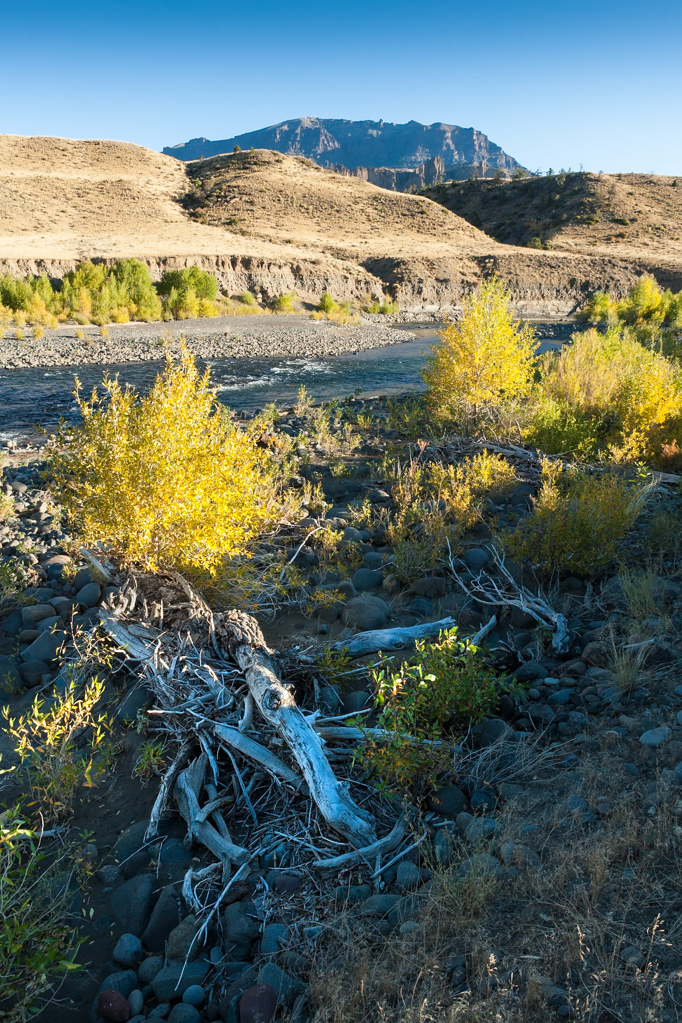 Shoshone River at Wapiti Valley, Wyoming, WY, USA