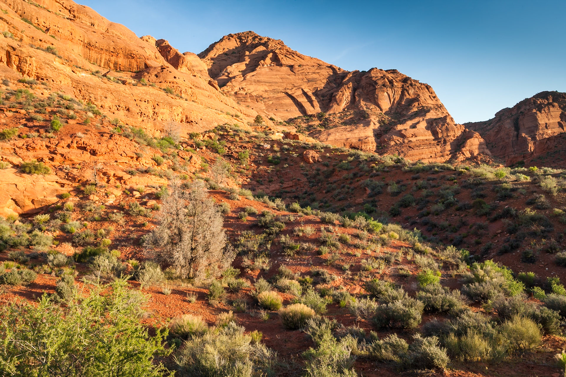 Red Cliffs Recreation Area at Red Reef, UT, USA