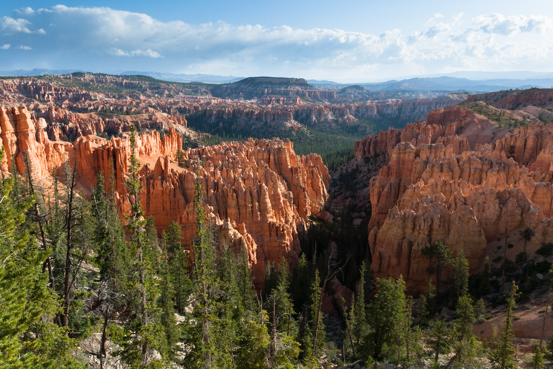 Bryce Canyon, Bryce Point,  UT, USA