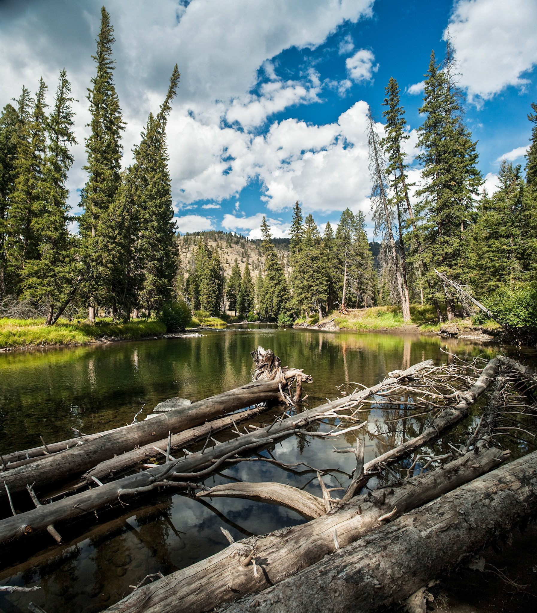 Slough Creek in Yellowstone National Park, Wyoming, USA