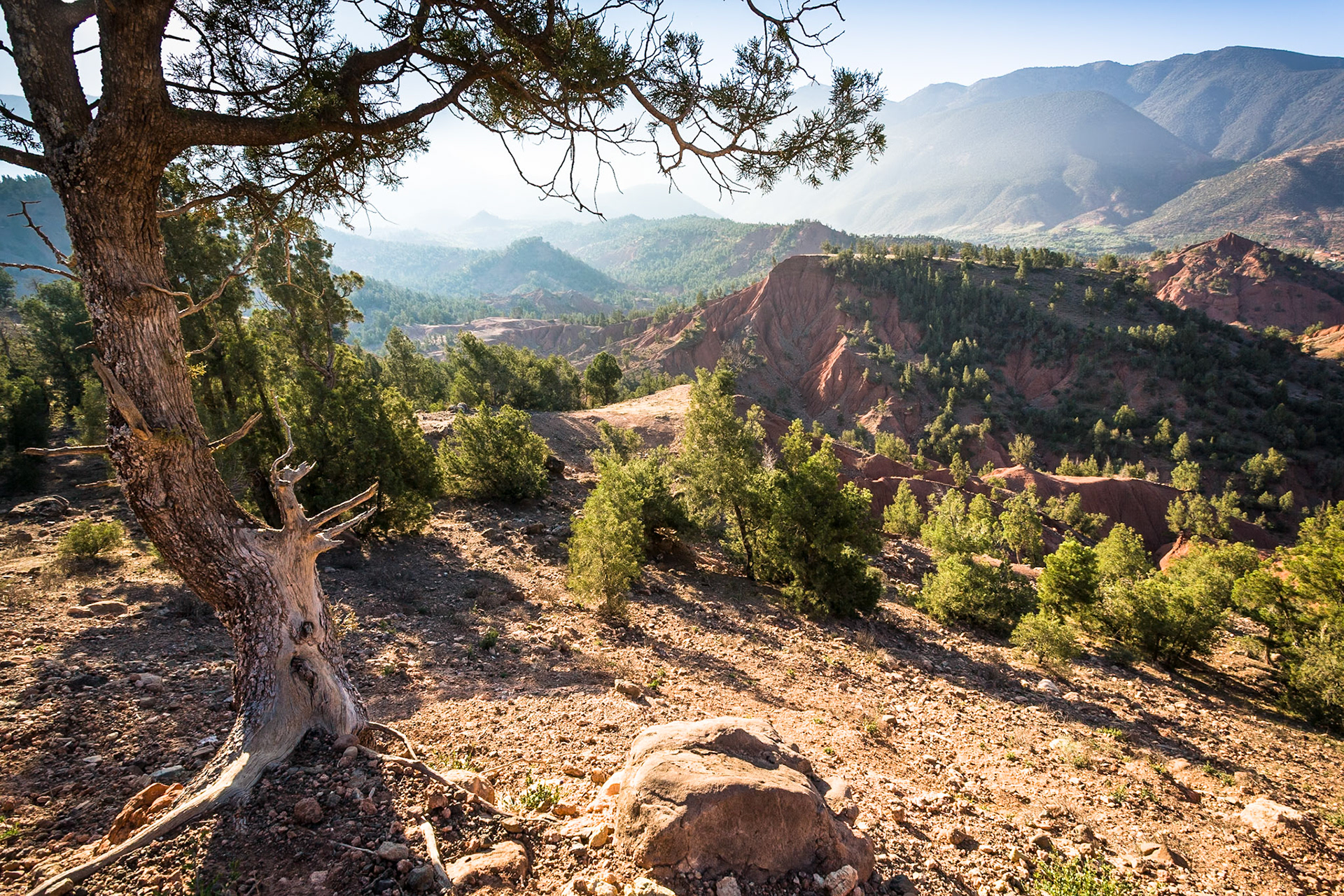 View of the mountains at the R203 from Marrakech to Taroudannt near Ourgane, Morocco