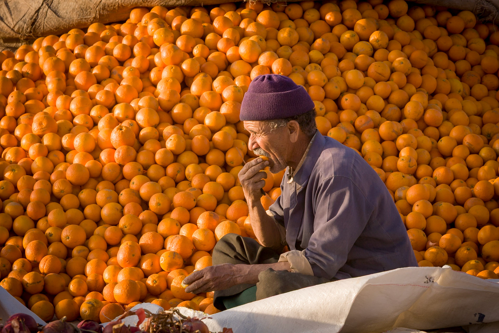 Man eats an orange in front of a big pile of oranges at market in Guelmim
