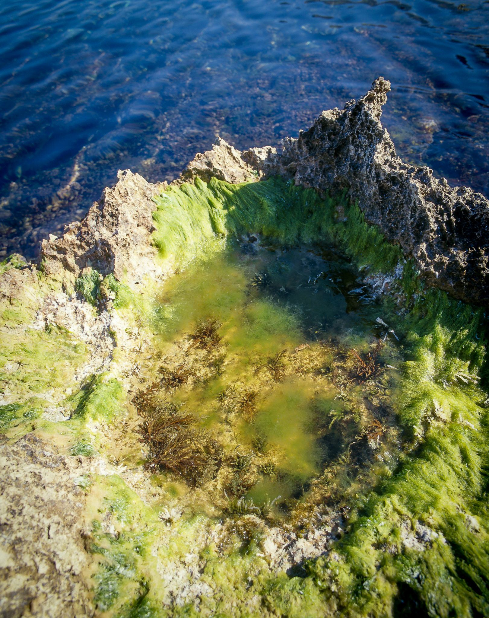 Rocky coast at Golfo de Cofano Sicily