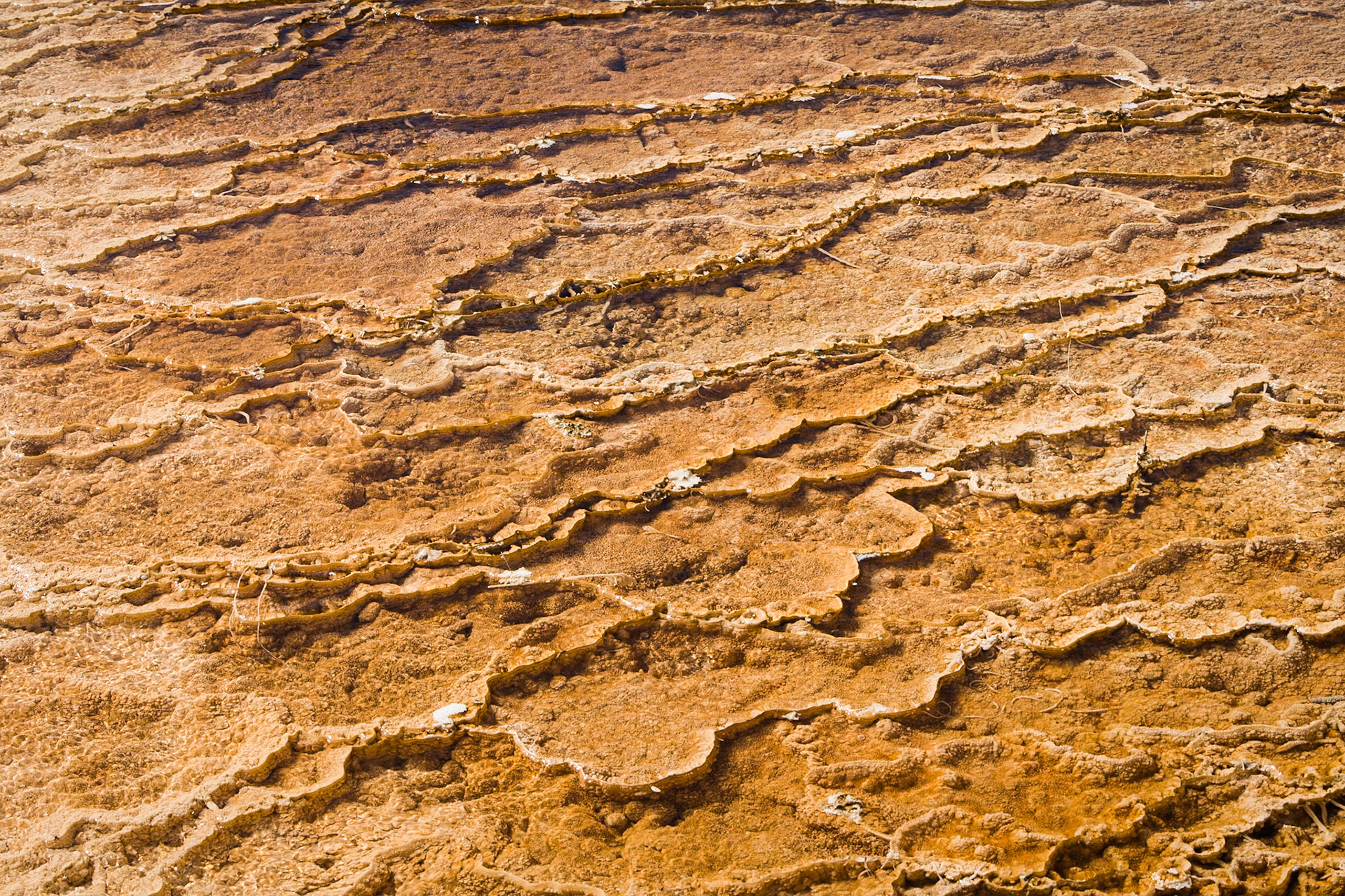 River with mineral structures Near New Blue Spring at Mammoth Hot Springs  in Yellowstone National Park Wyoming, USA
