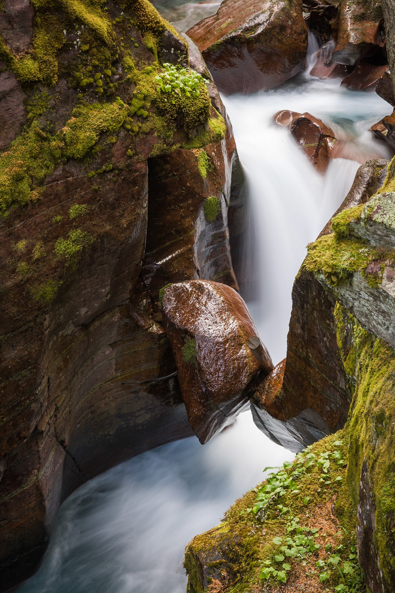 Big rock at Avalanche Creek at Trail of the Cedars, Glacier National Park, Montana, USA
