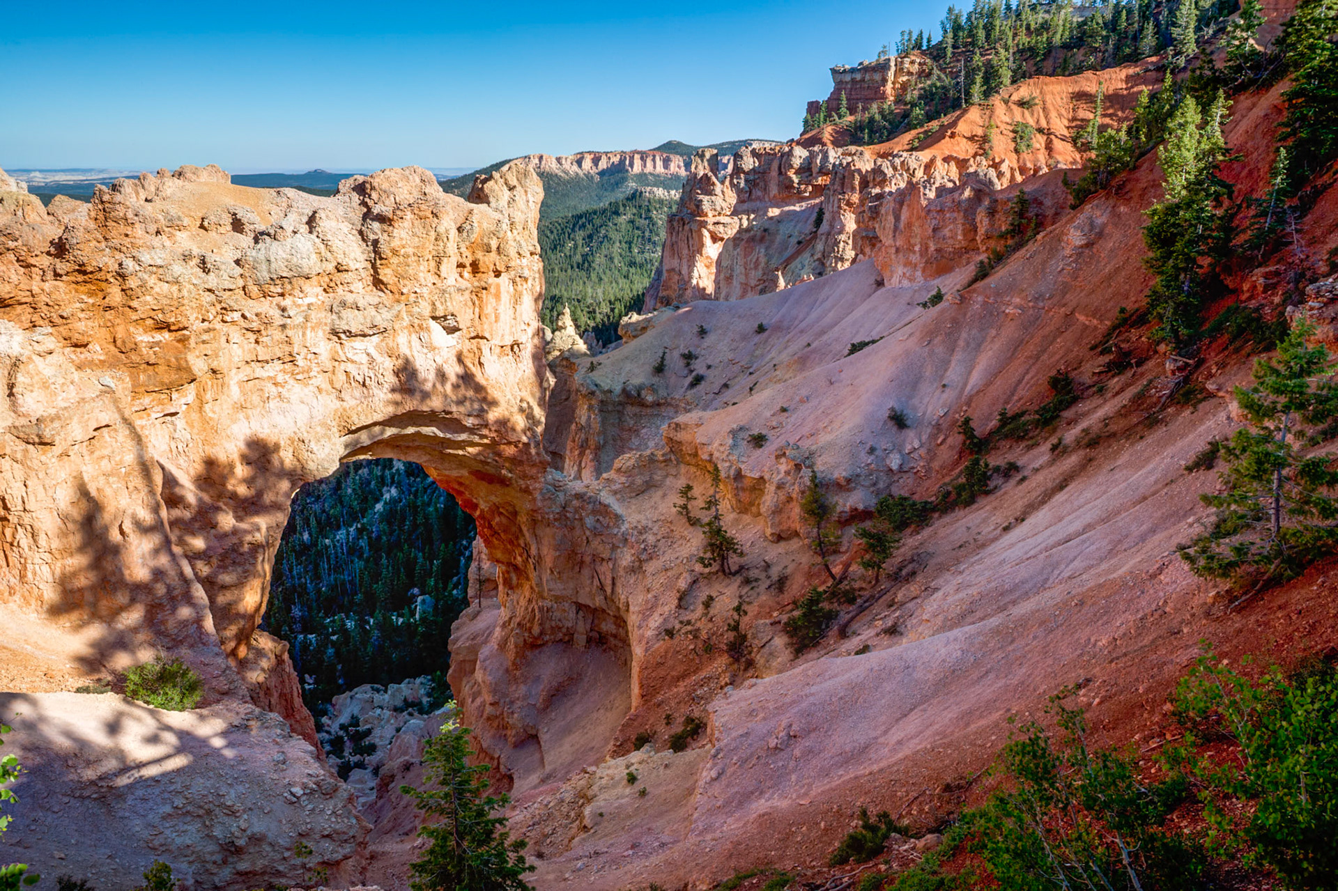 Bryce Canyon, Natural Bridge, UT, USA