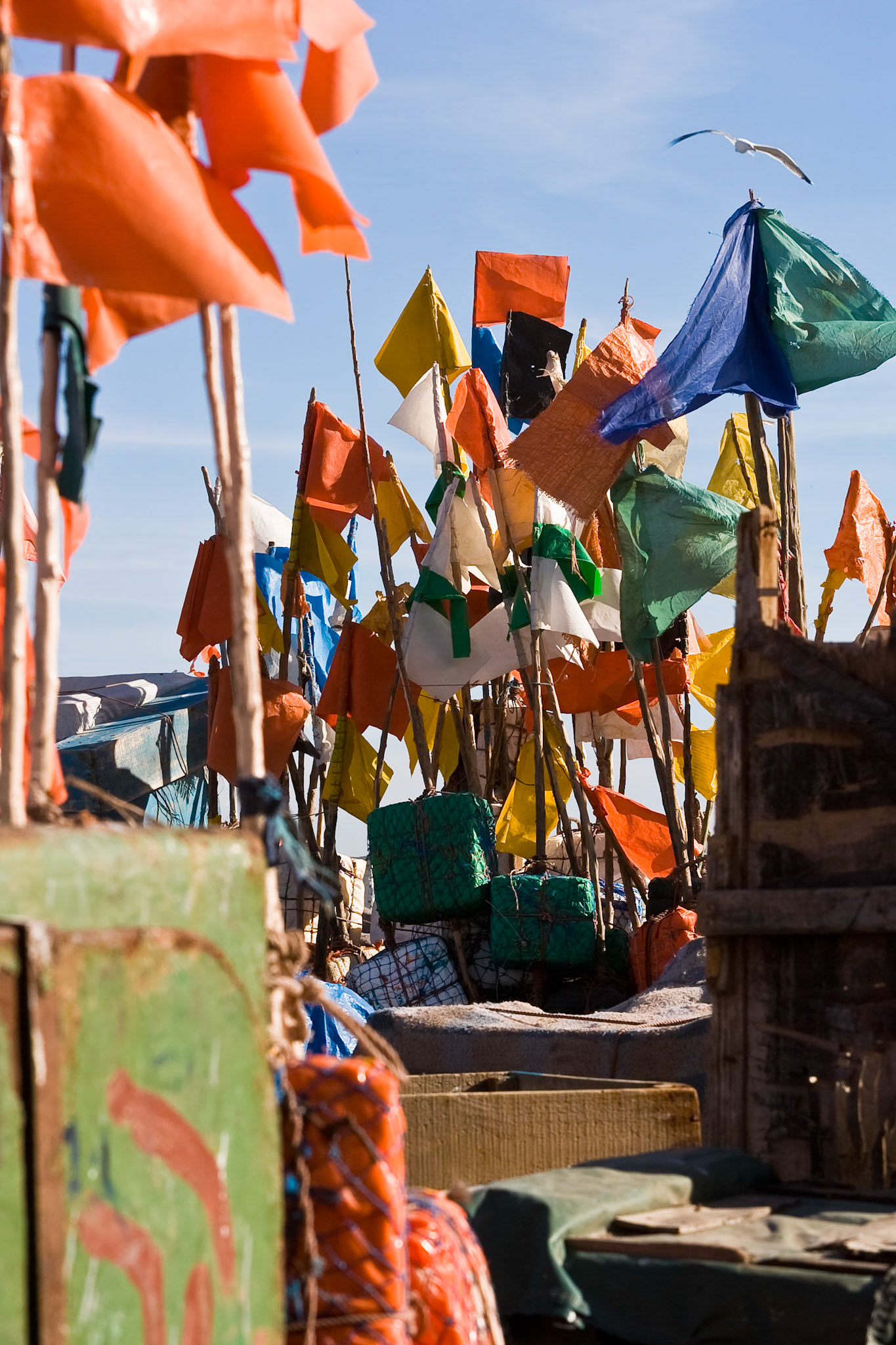 Flags at harbour at Essaouira, AESTHETIC OR COMMERCIAL APPEAL OF IMAGE