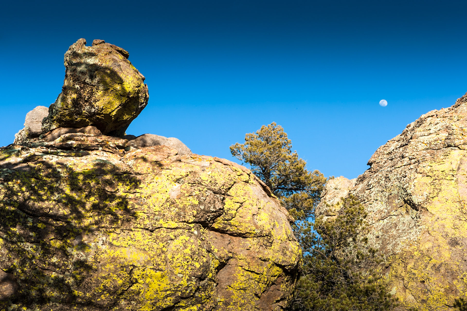 Rock formations in Chiricahua National Monument, Arizona, USA
