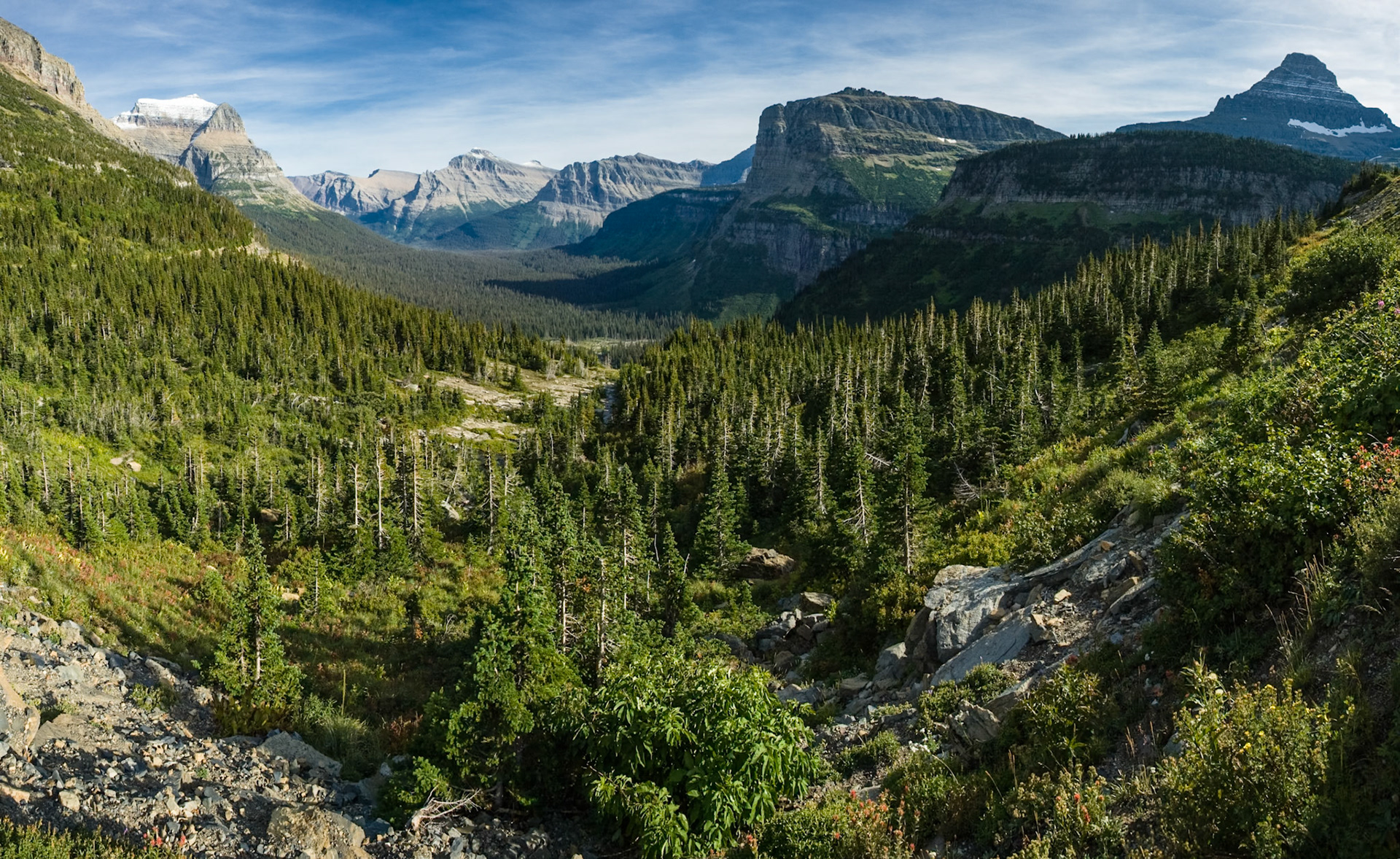 Logan Pass in Glacier National Park, Montana, USA