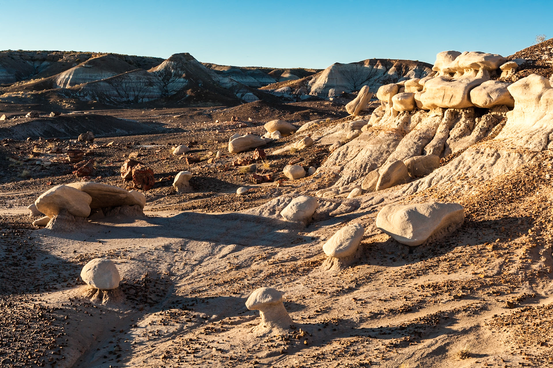 Sunset at Petrified Forest National Park, Blue Mesa, AZ, USA
