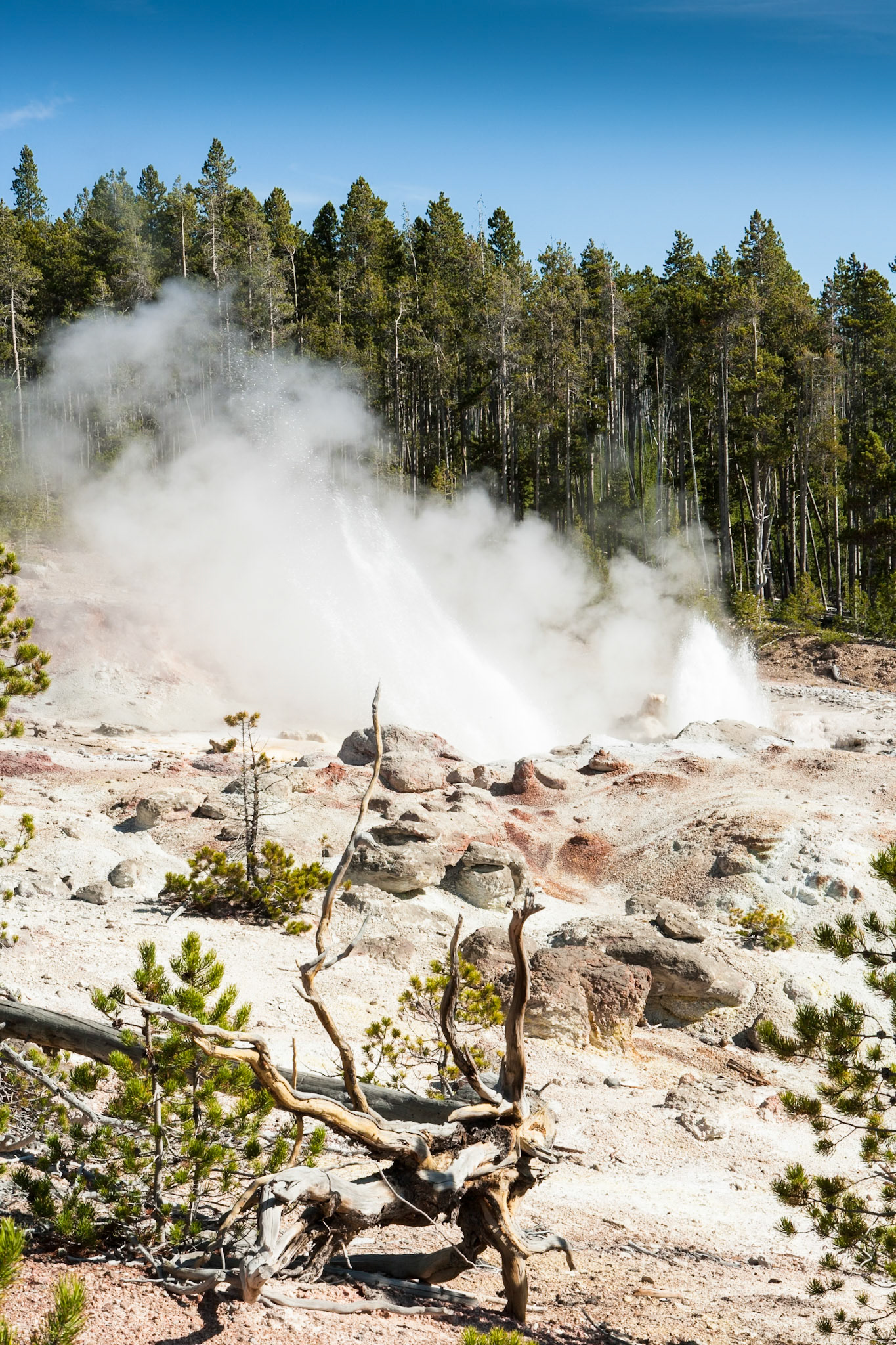 Steamboat Geyser, Norris Geyser Basin, Yellowstone Nat'l Park, WY, USA
