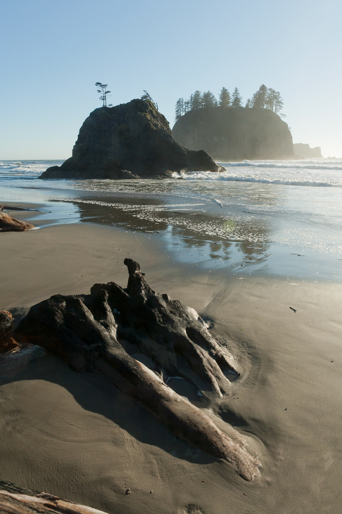 Second Beach near La Push at the Olympic National Park, Washington, USA