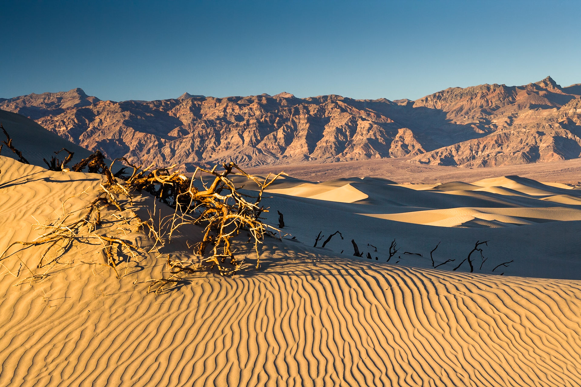 Mesquite Flat Sand Dunes, Death Valley, California, USA