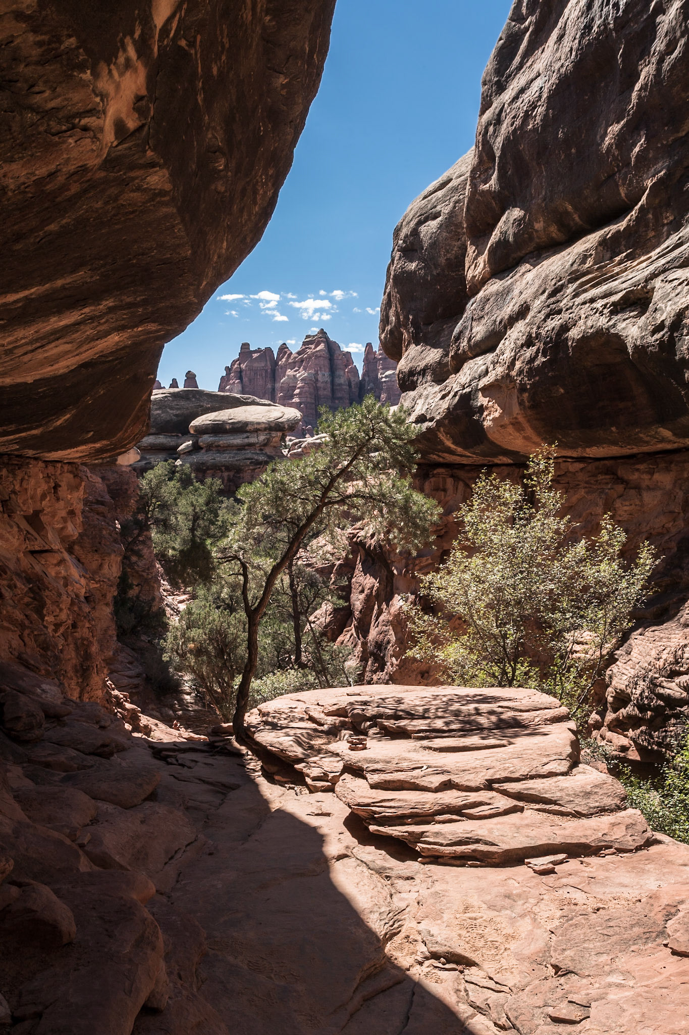 Squaw Flat Loop Trail, Canyon Lands NP, UT