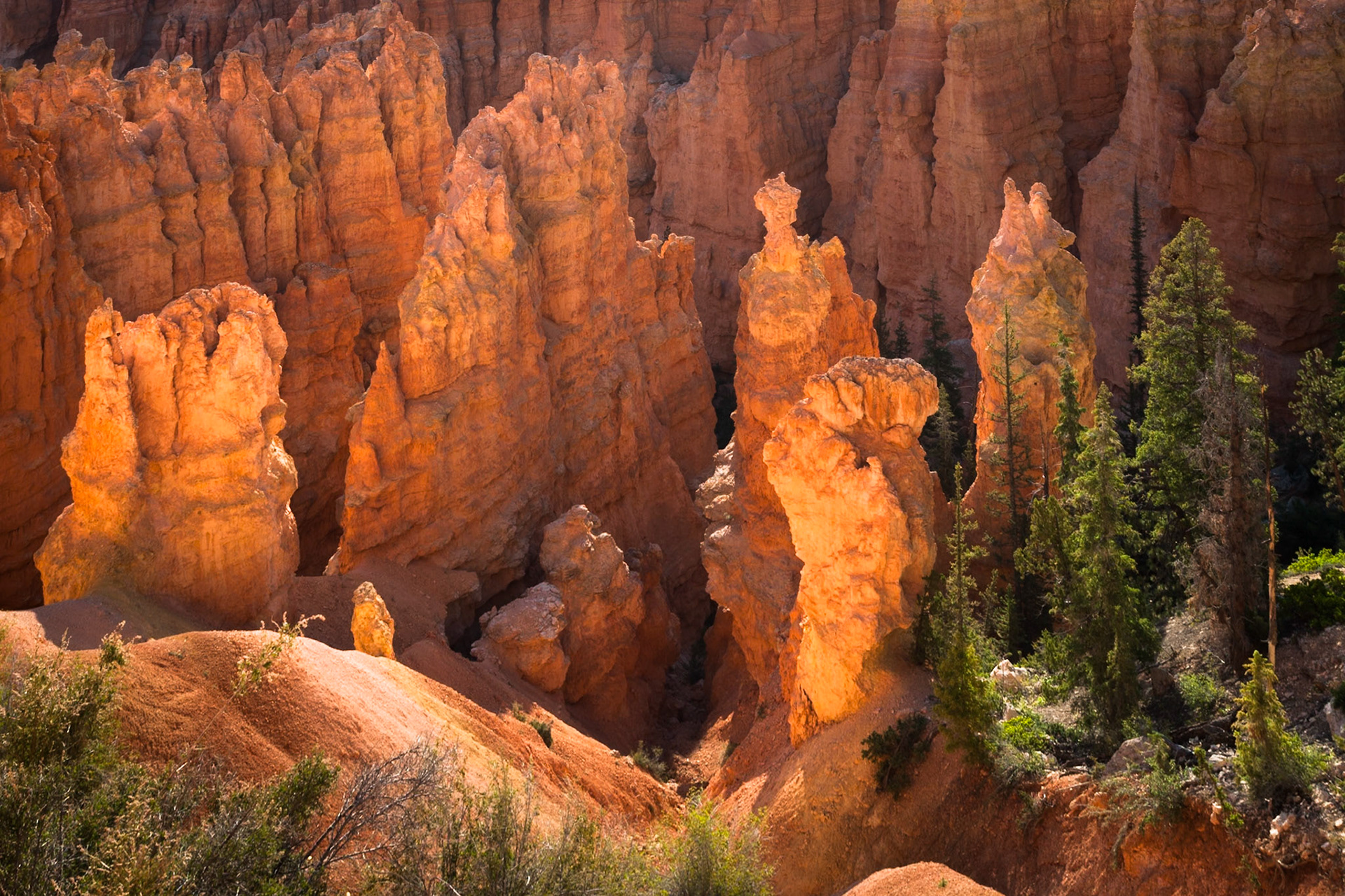 Bryce Canyon, Bryce Point,  UT, USA