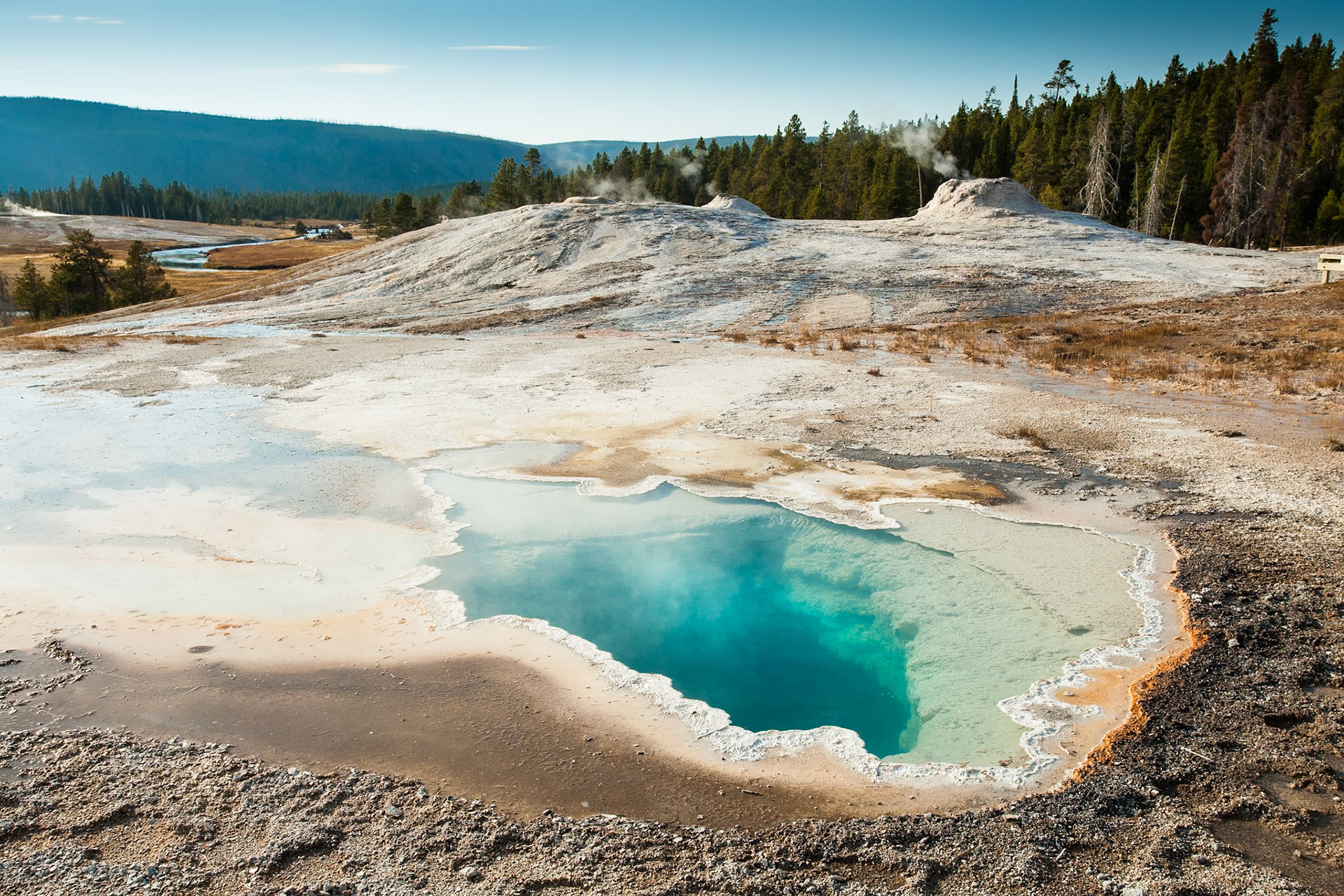 Lion Geyser Group at Upper Geyser Basin, Yellowstone Nat'l Park, WY, USA
