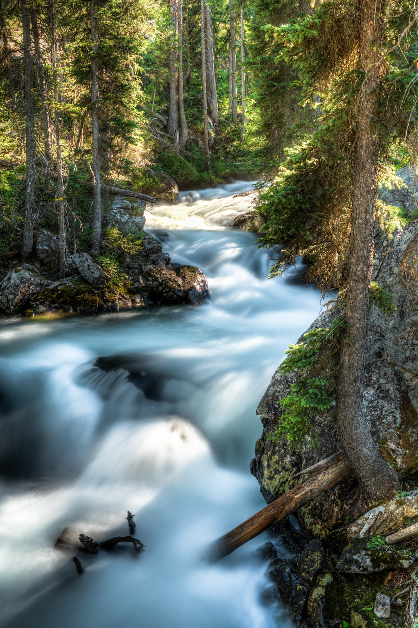 River from Hidden Falls at Inspiration Point near Lake Jenny, Grand Teton NP, WY, USA