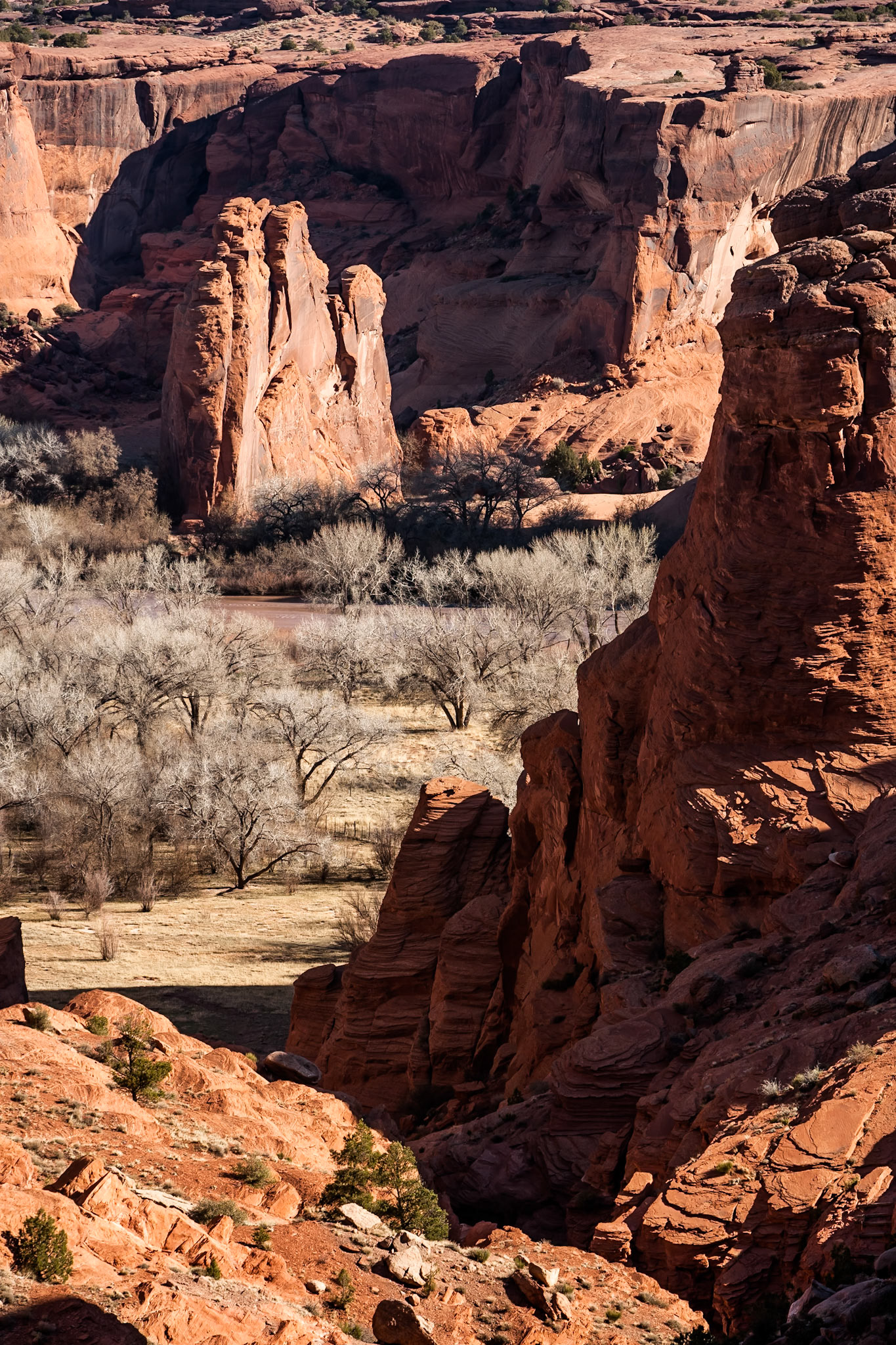 Canyon de Chelley, Tunnel Overlook, Arizona, USA