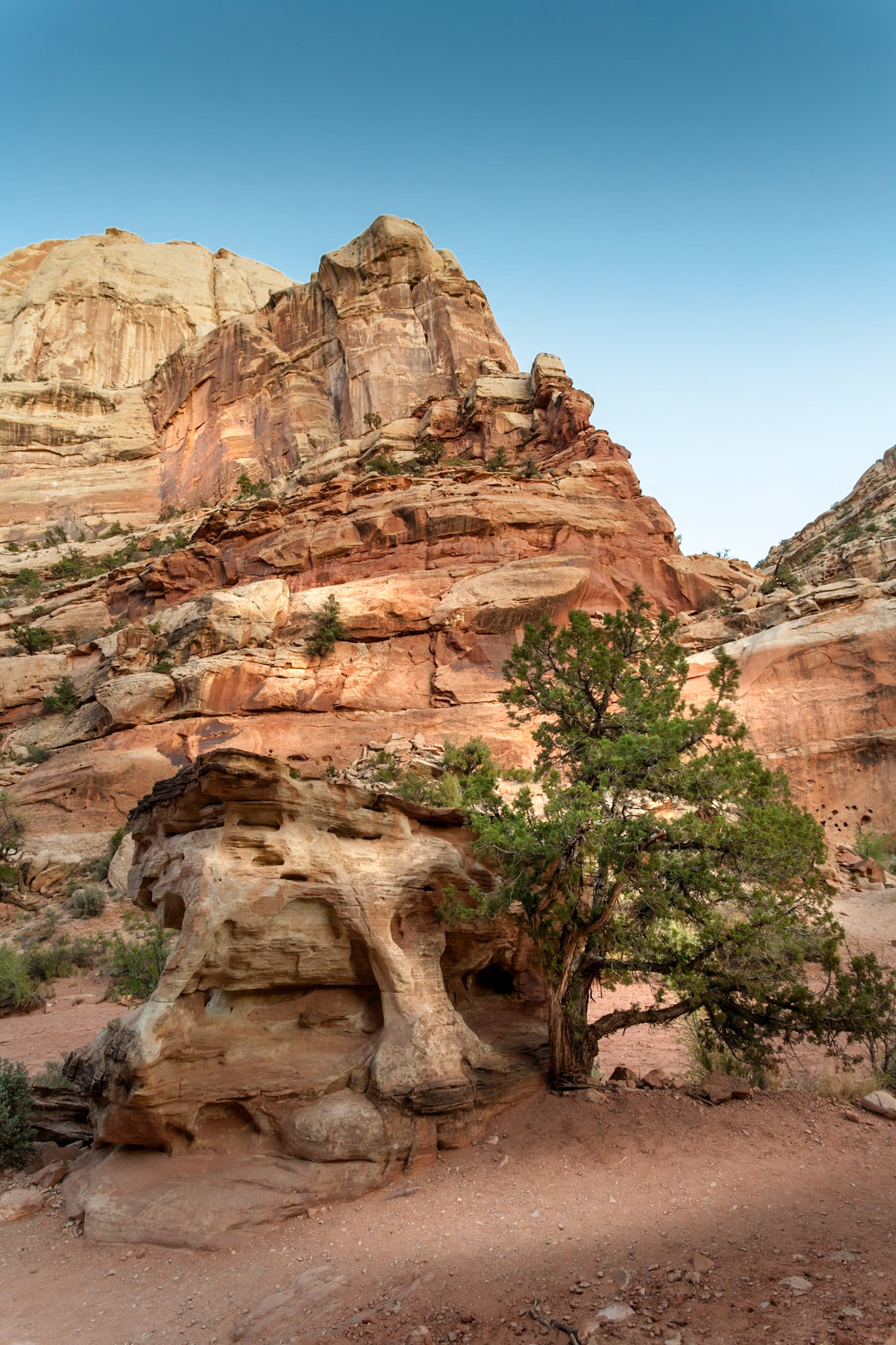 Grand Wash, Capitol Reef Nat'l Park, Utah, USA